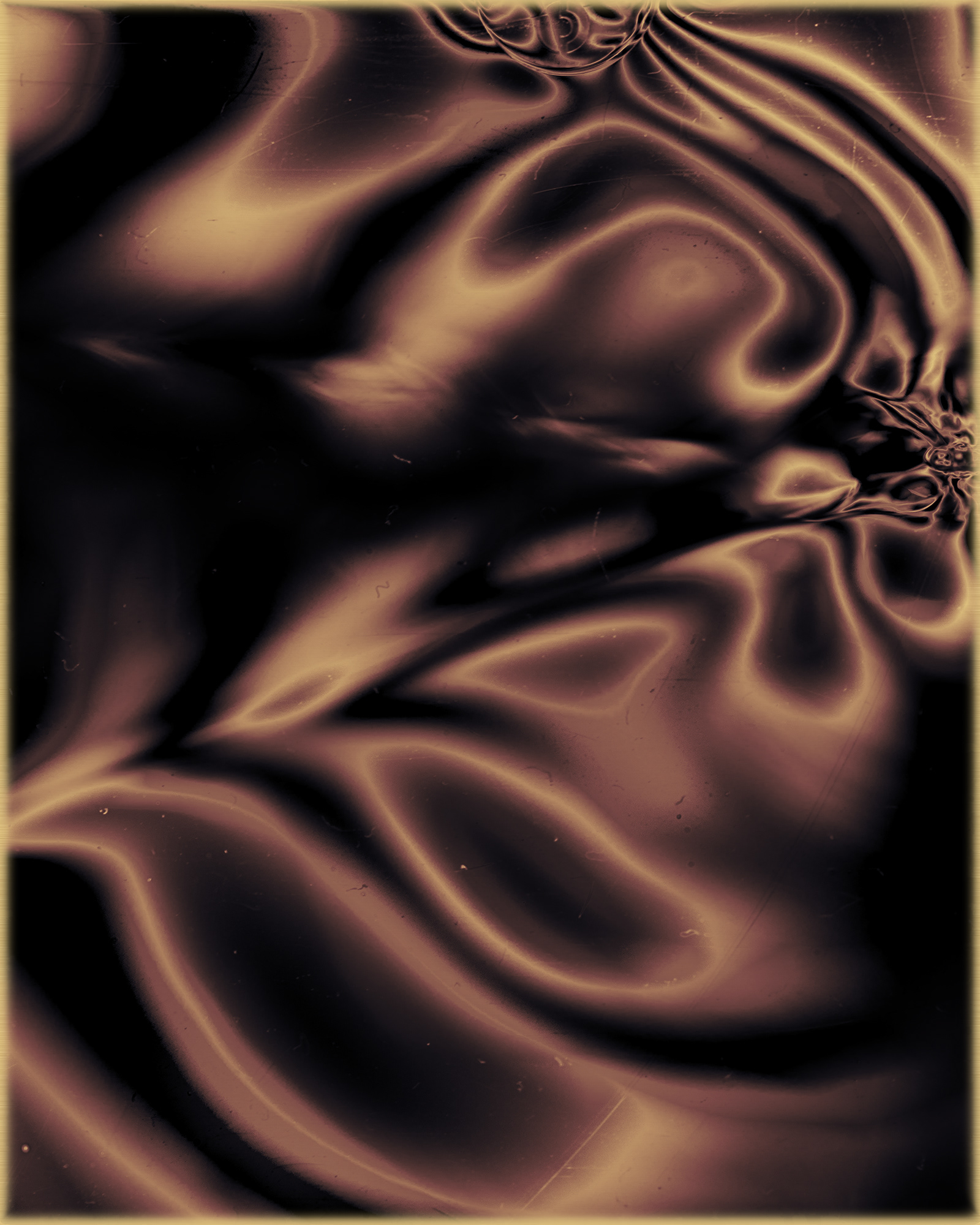 Polarized#54005