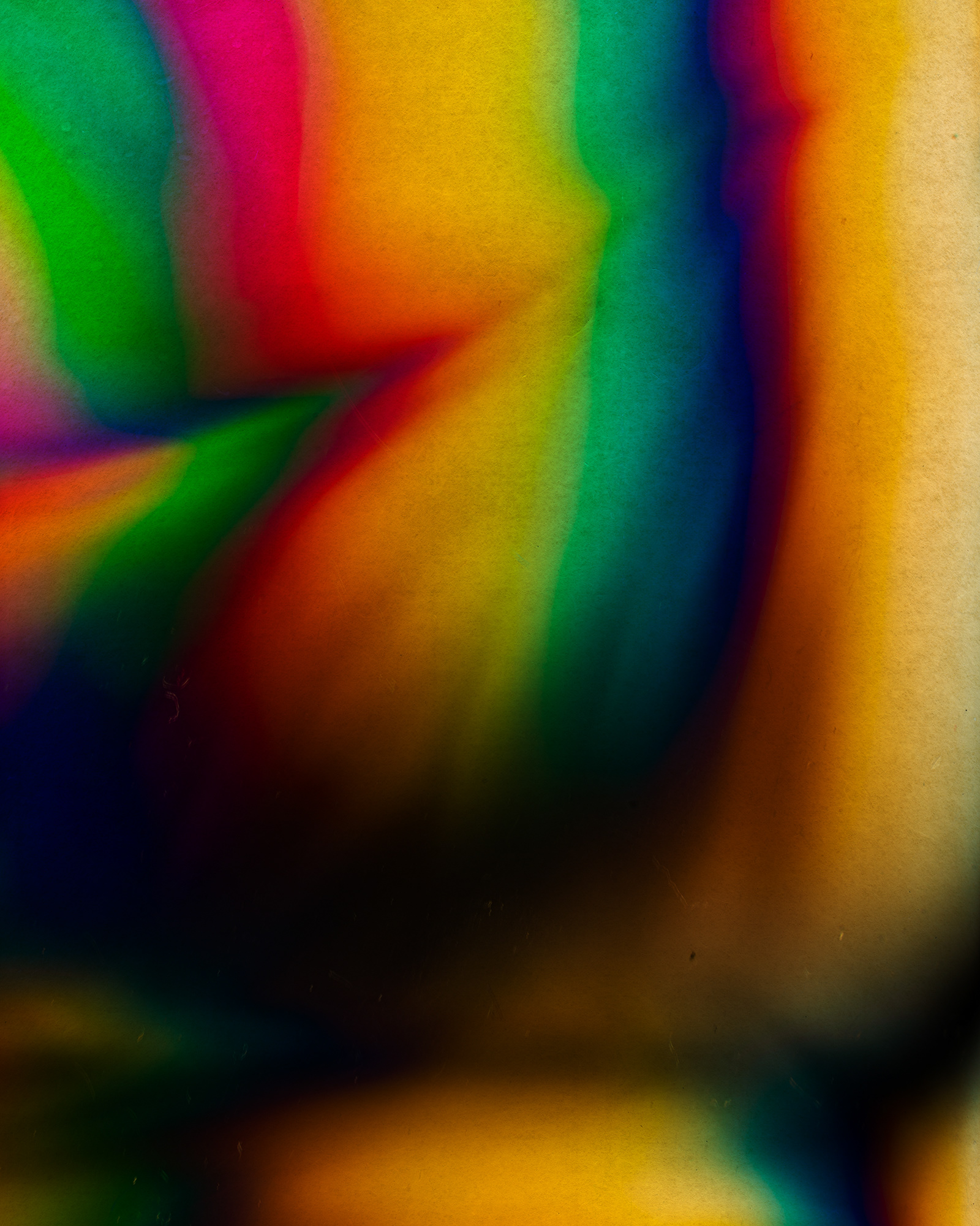 Polarized#55006