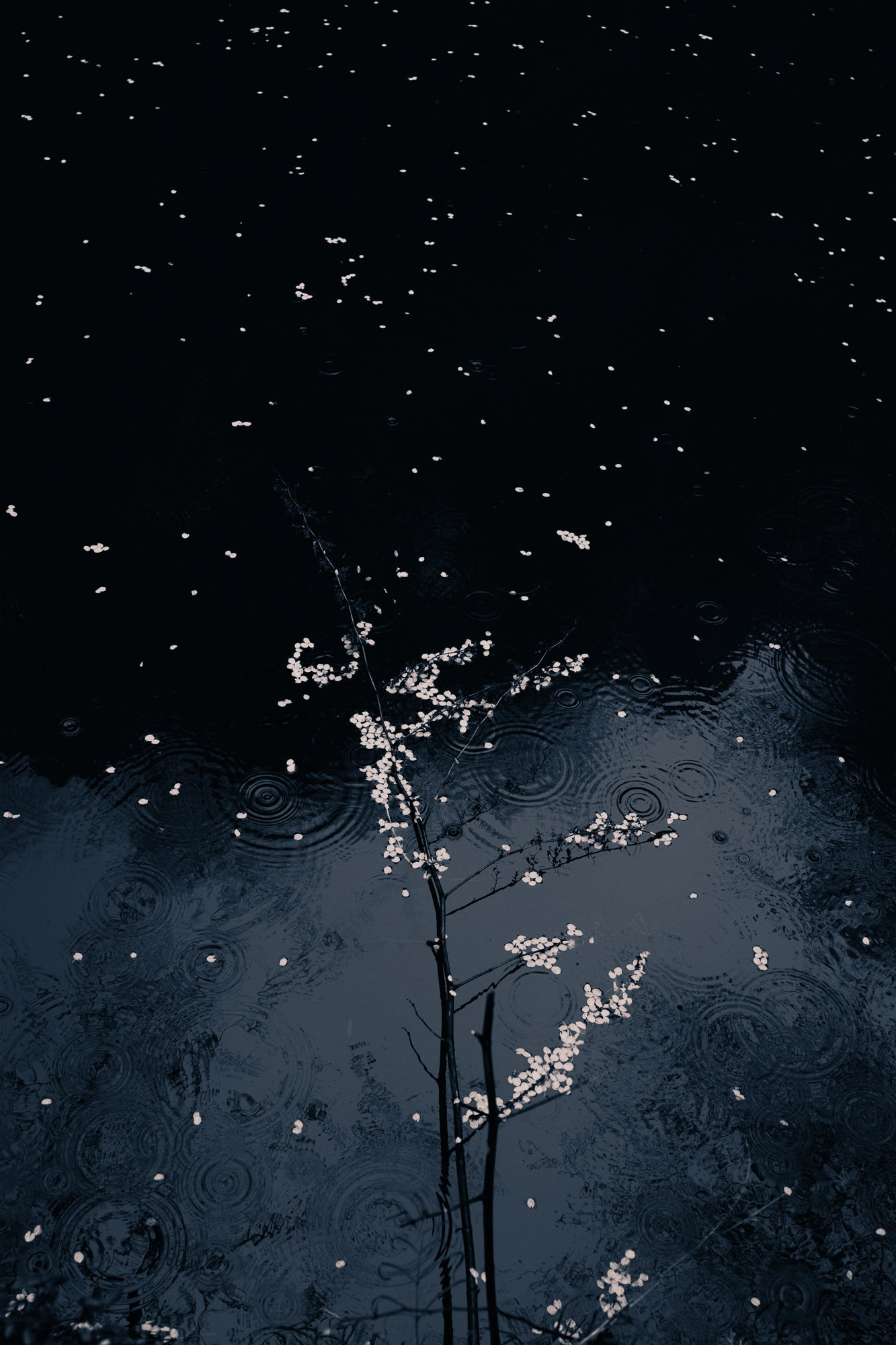 #371