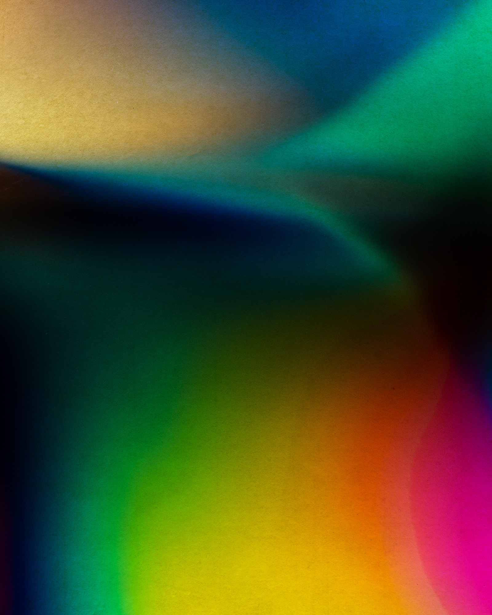 Polarized#55001