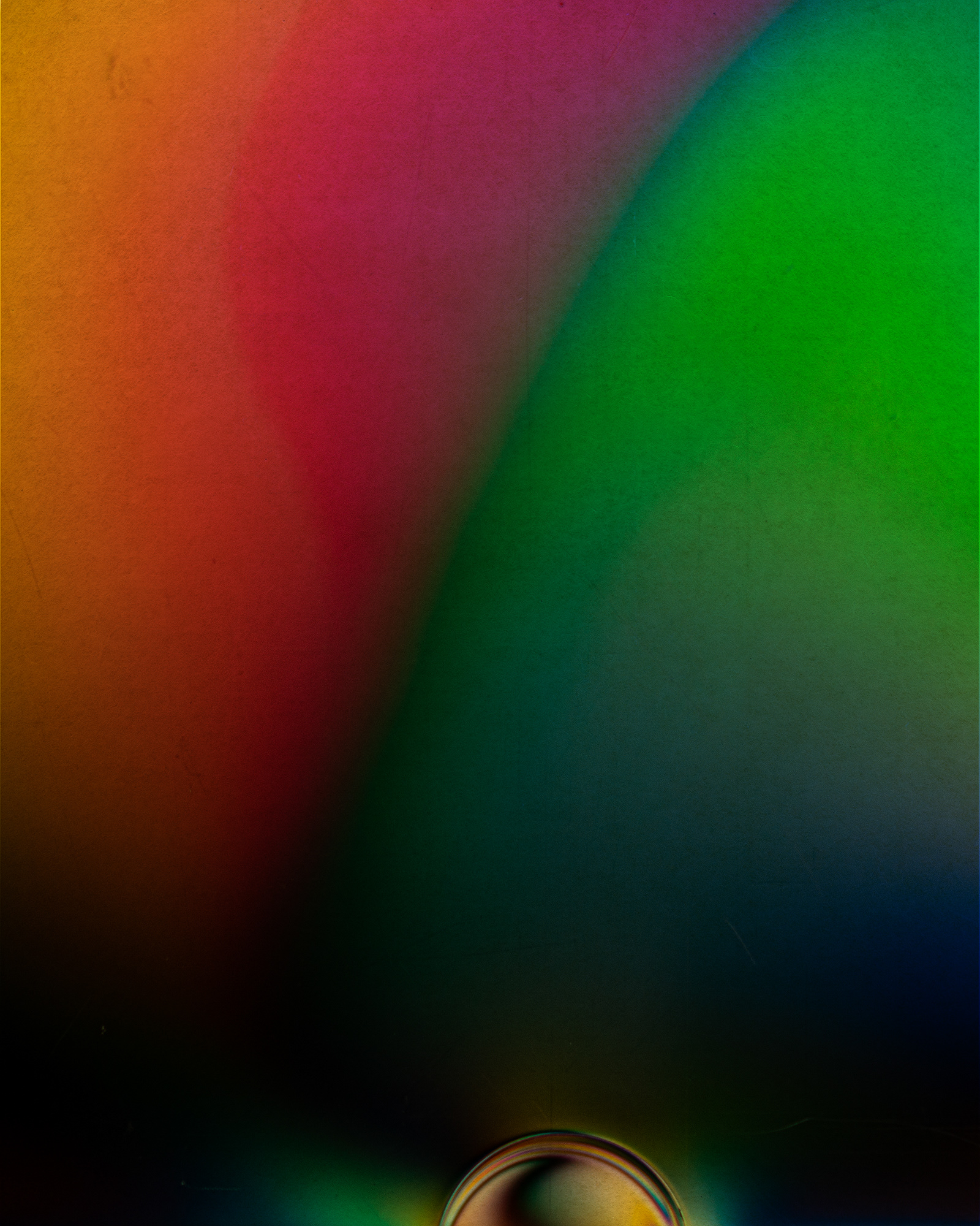 Polarized#55004