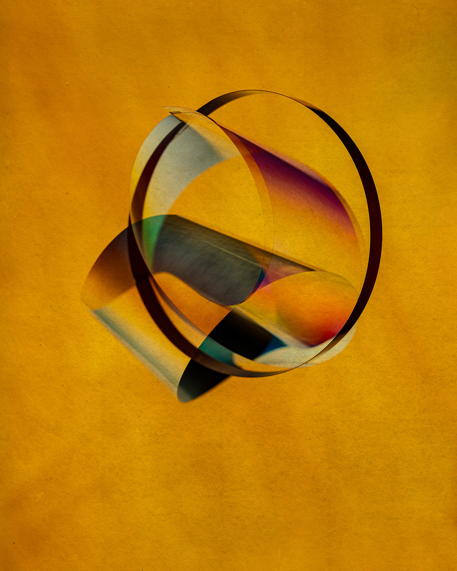 Polarized#55462