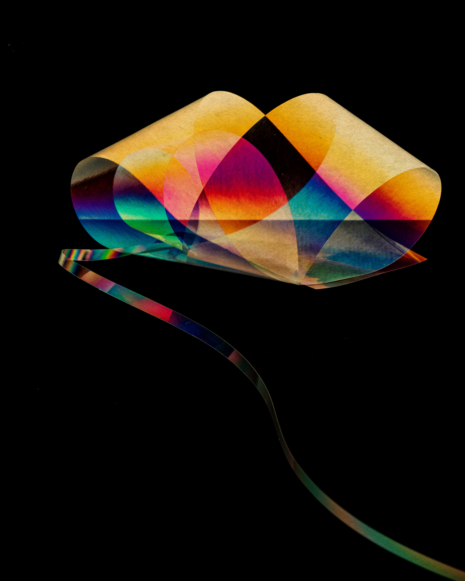 Polarized#55452