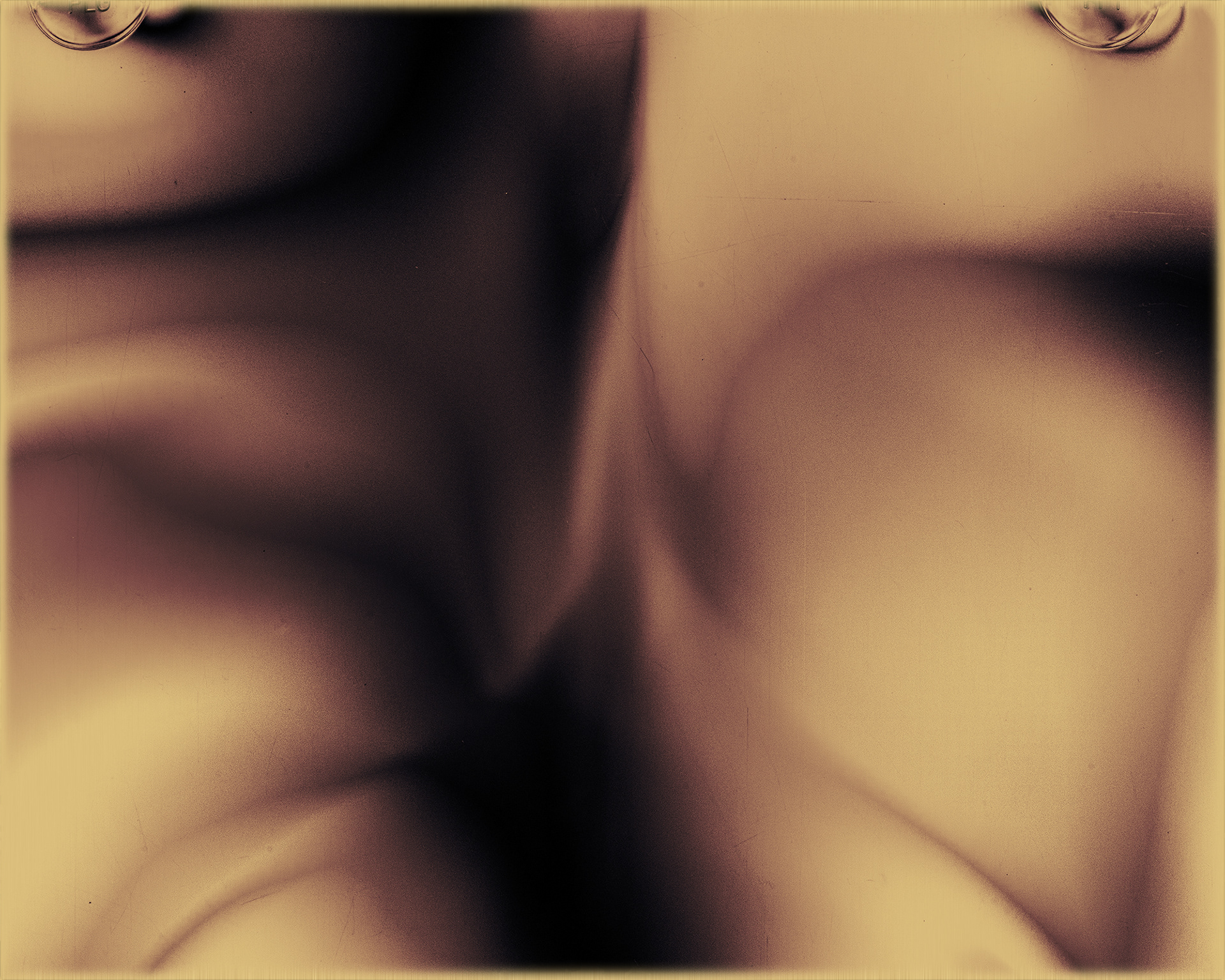 Polarized#54004