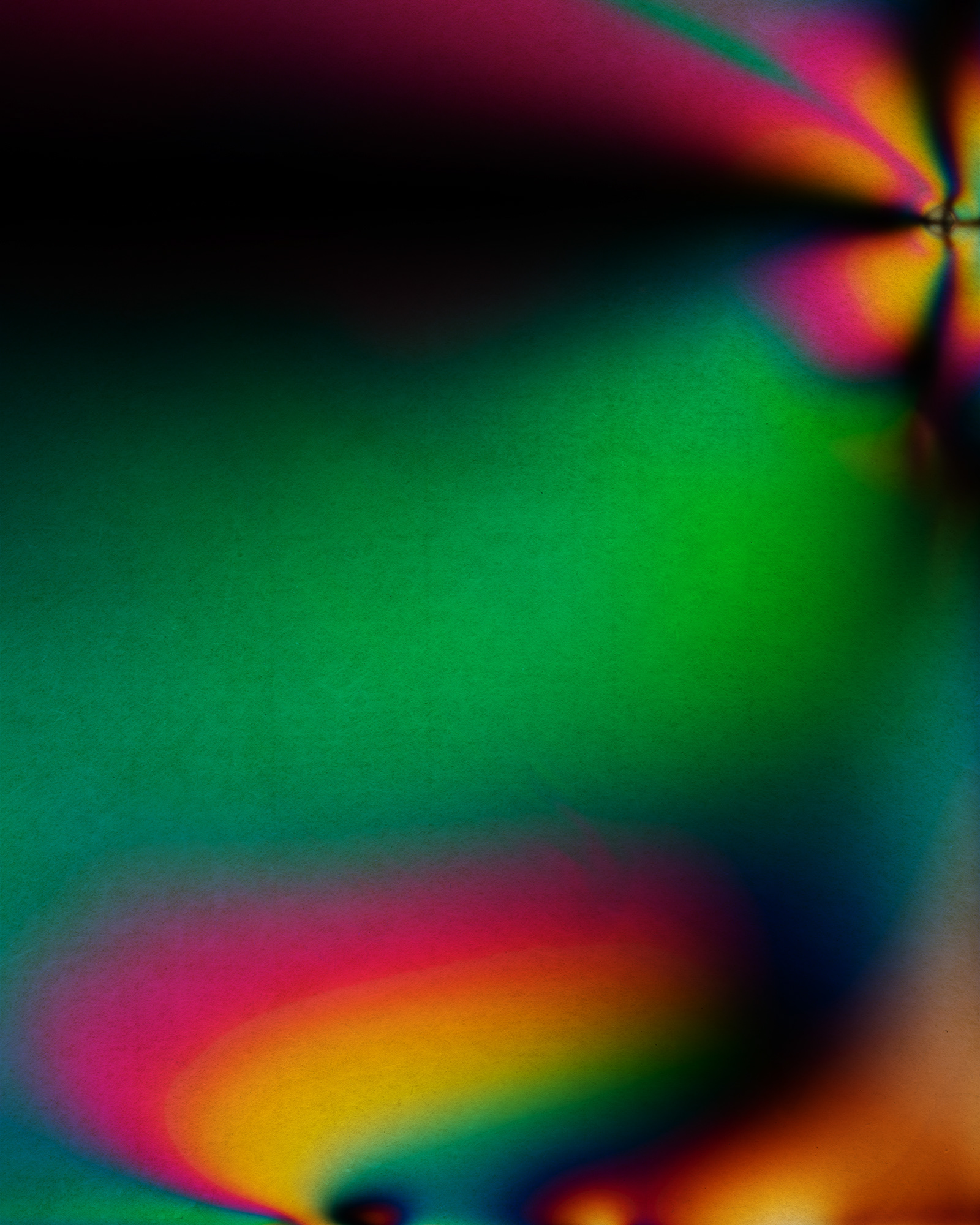 Polarized#55003