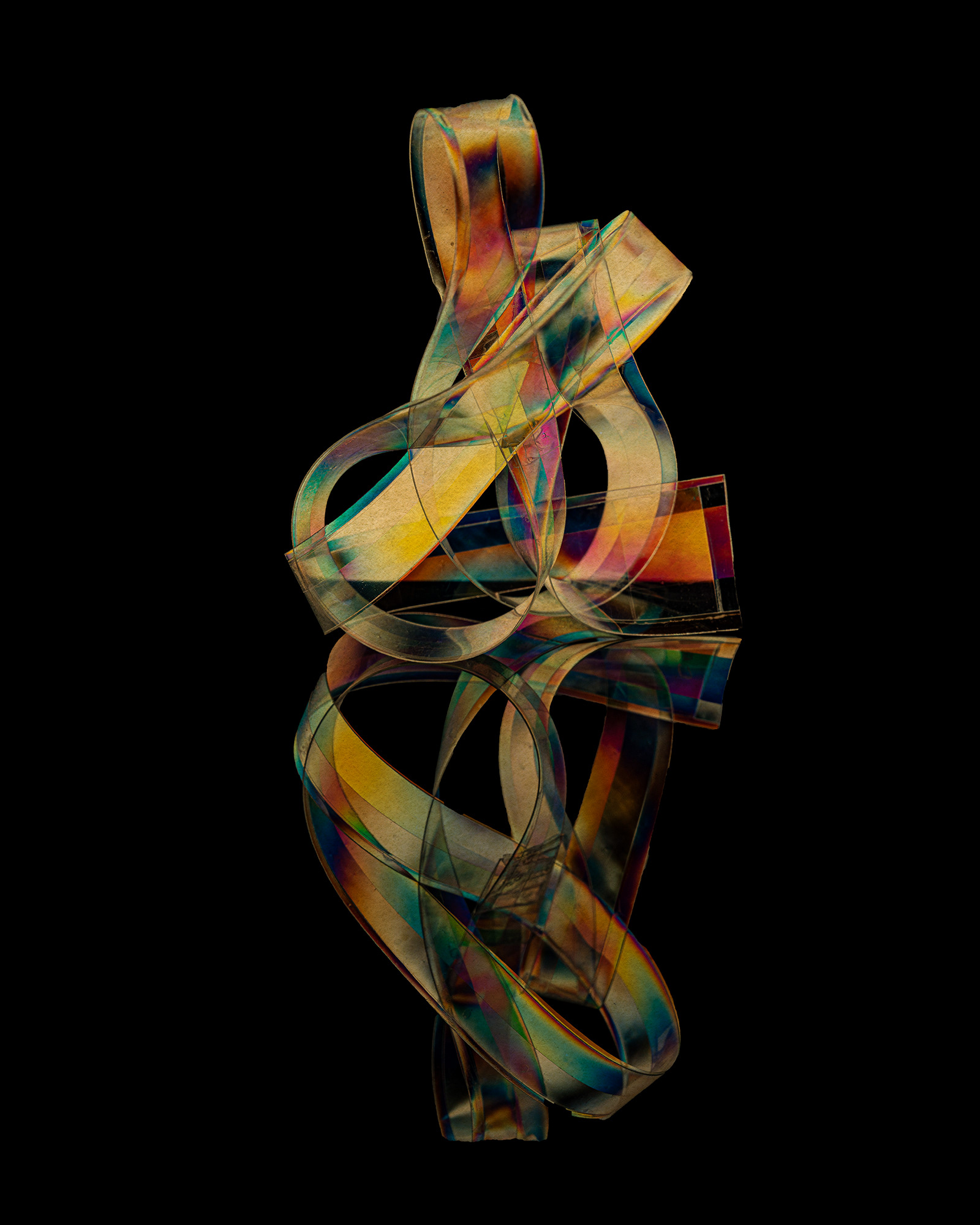 Polarized#55456