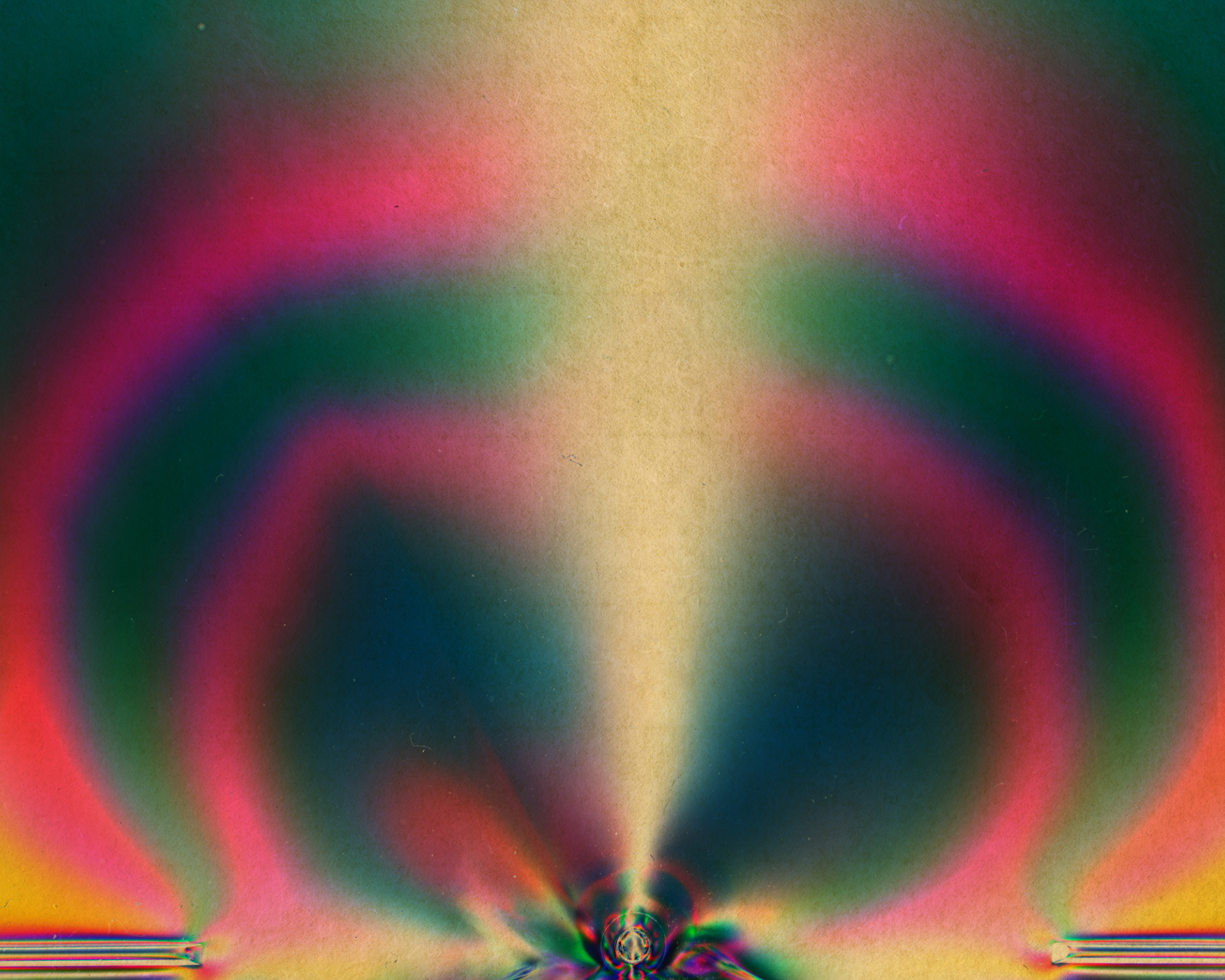 Polarized#55007