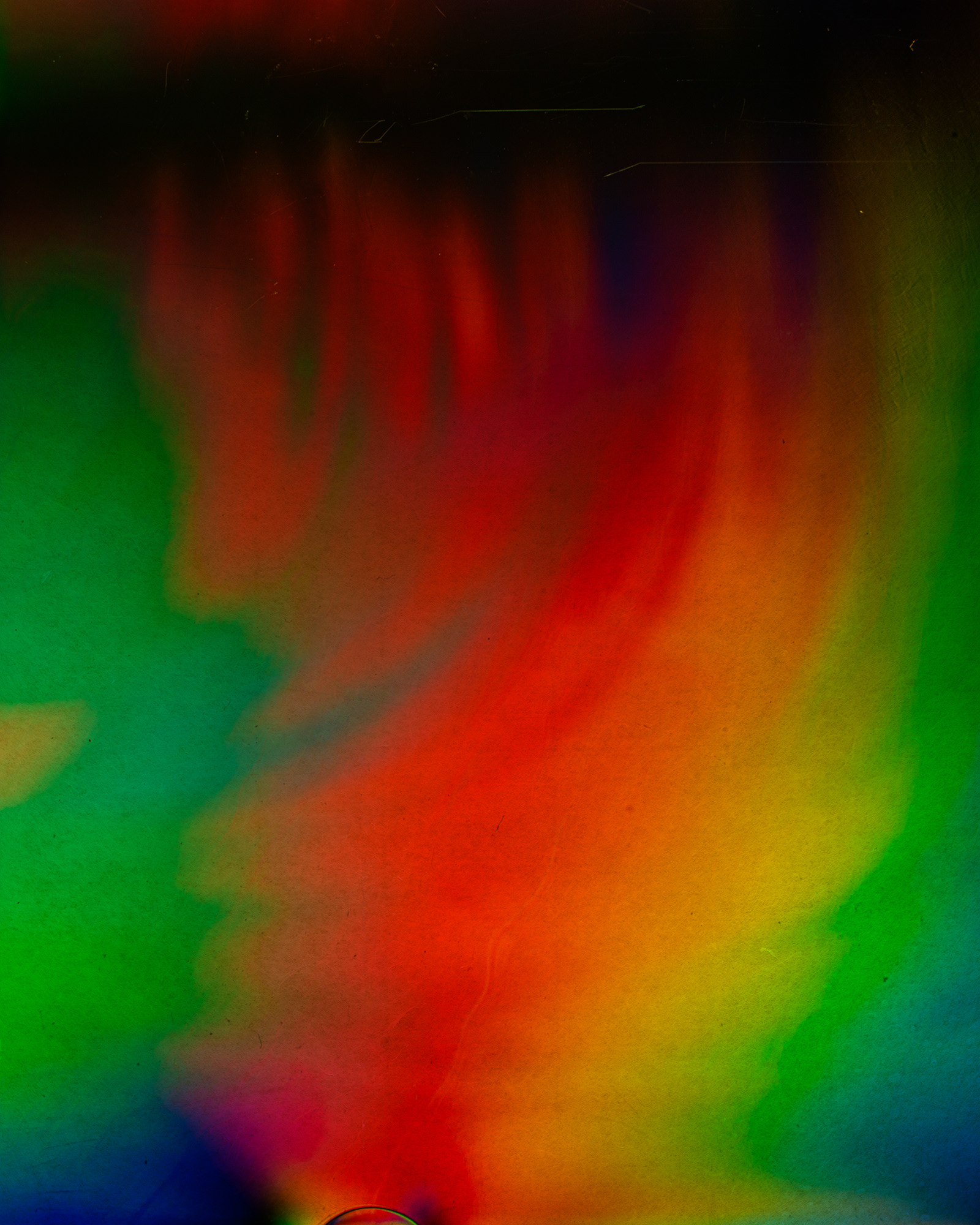 Polarized#55008