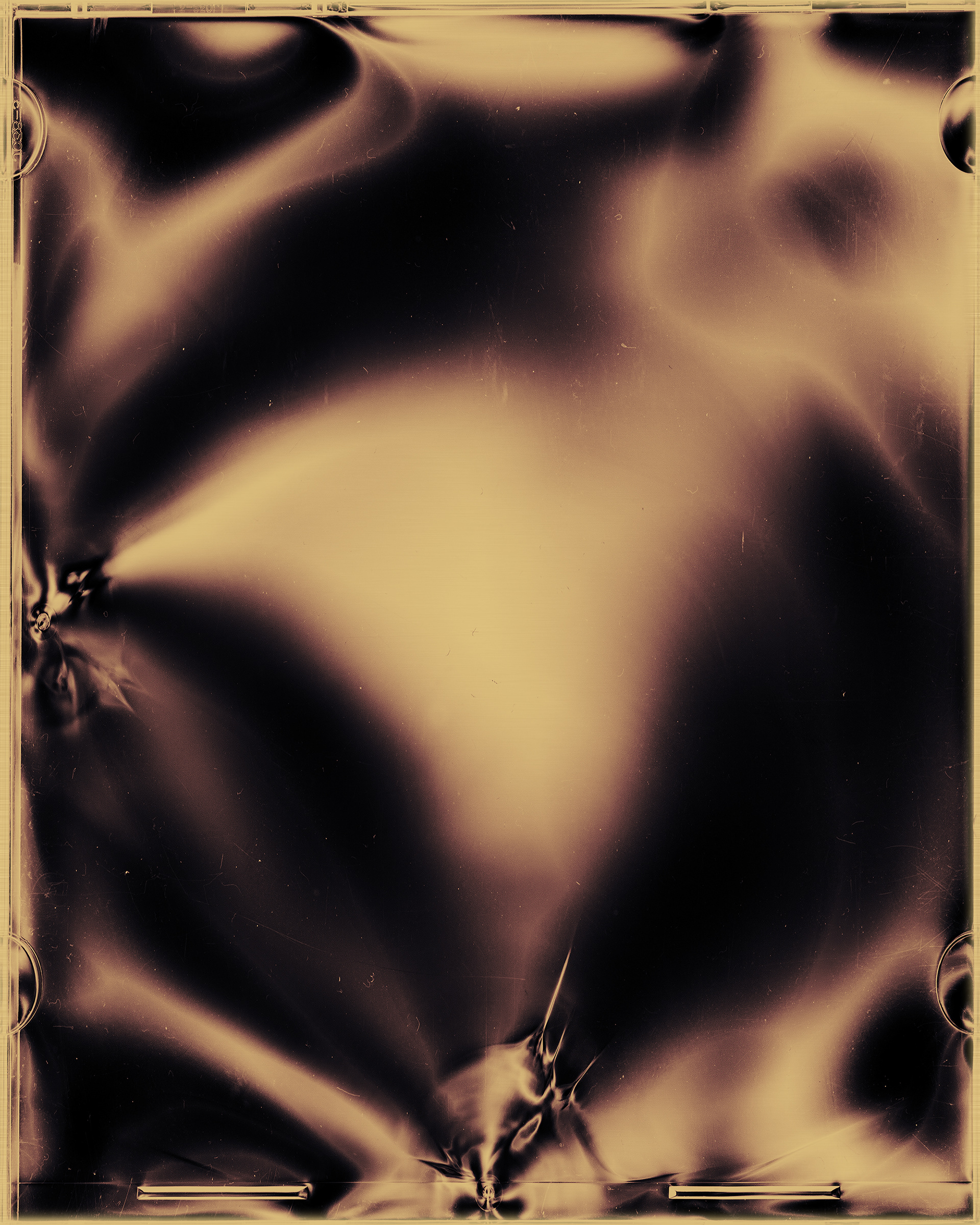 Polarized#54001