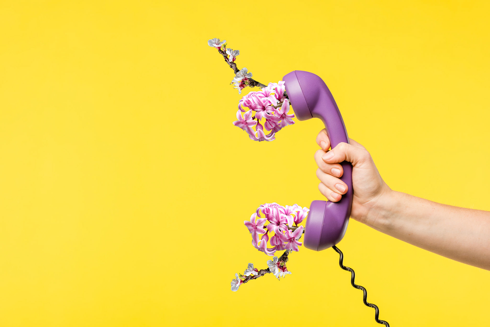 cropped shot of person holding purple handset isolated on yellow