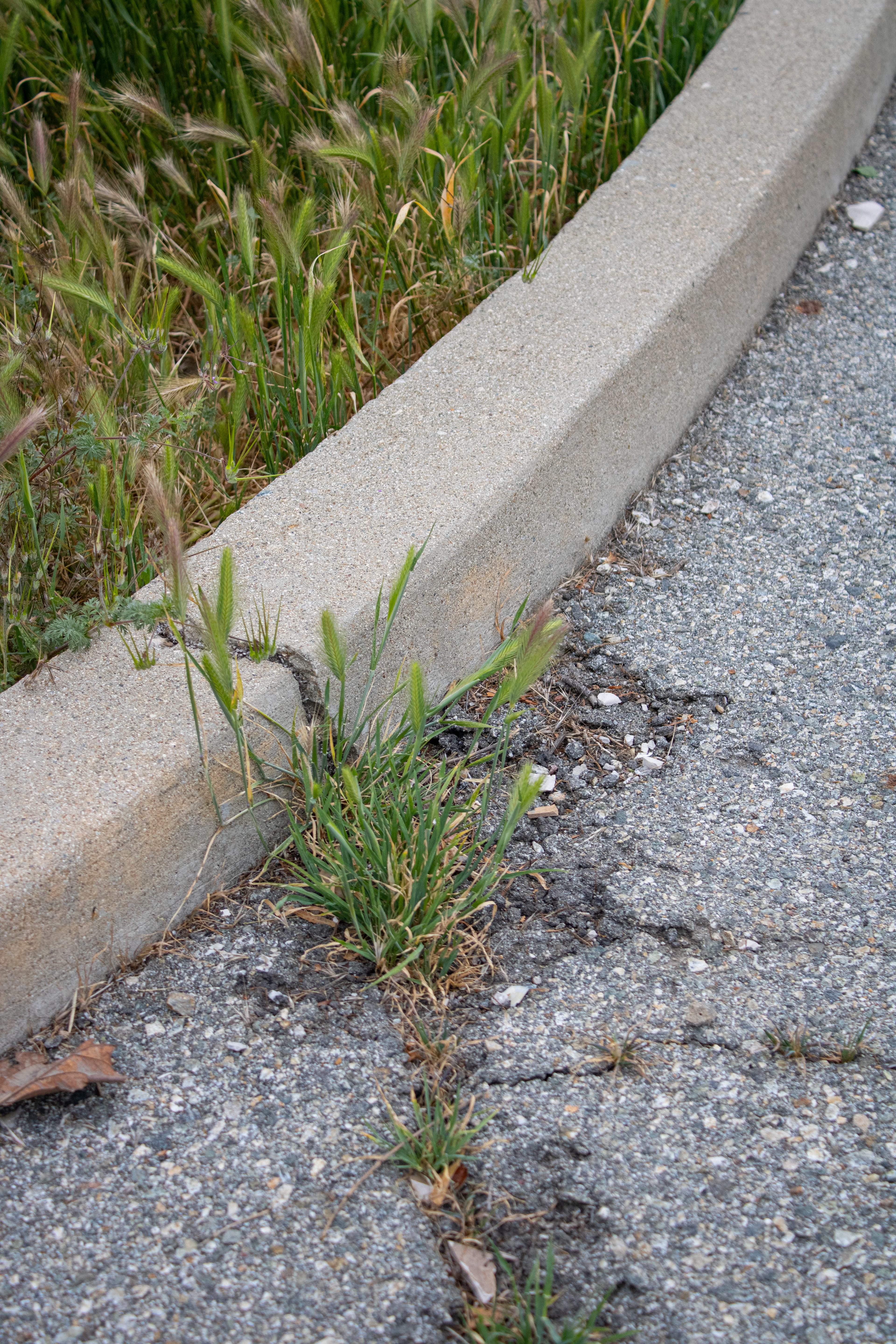 Unwelcome, Unstoppable