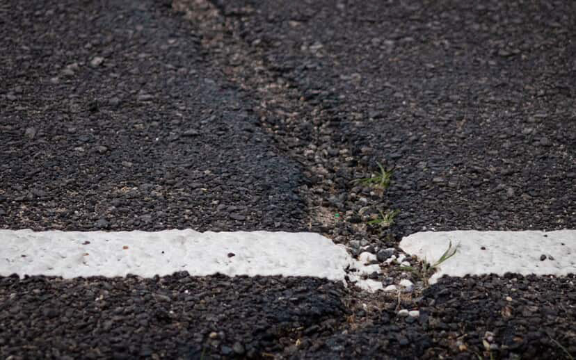 Rainy Days and Road Weeds