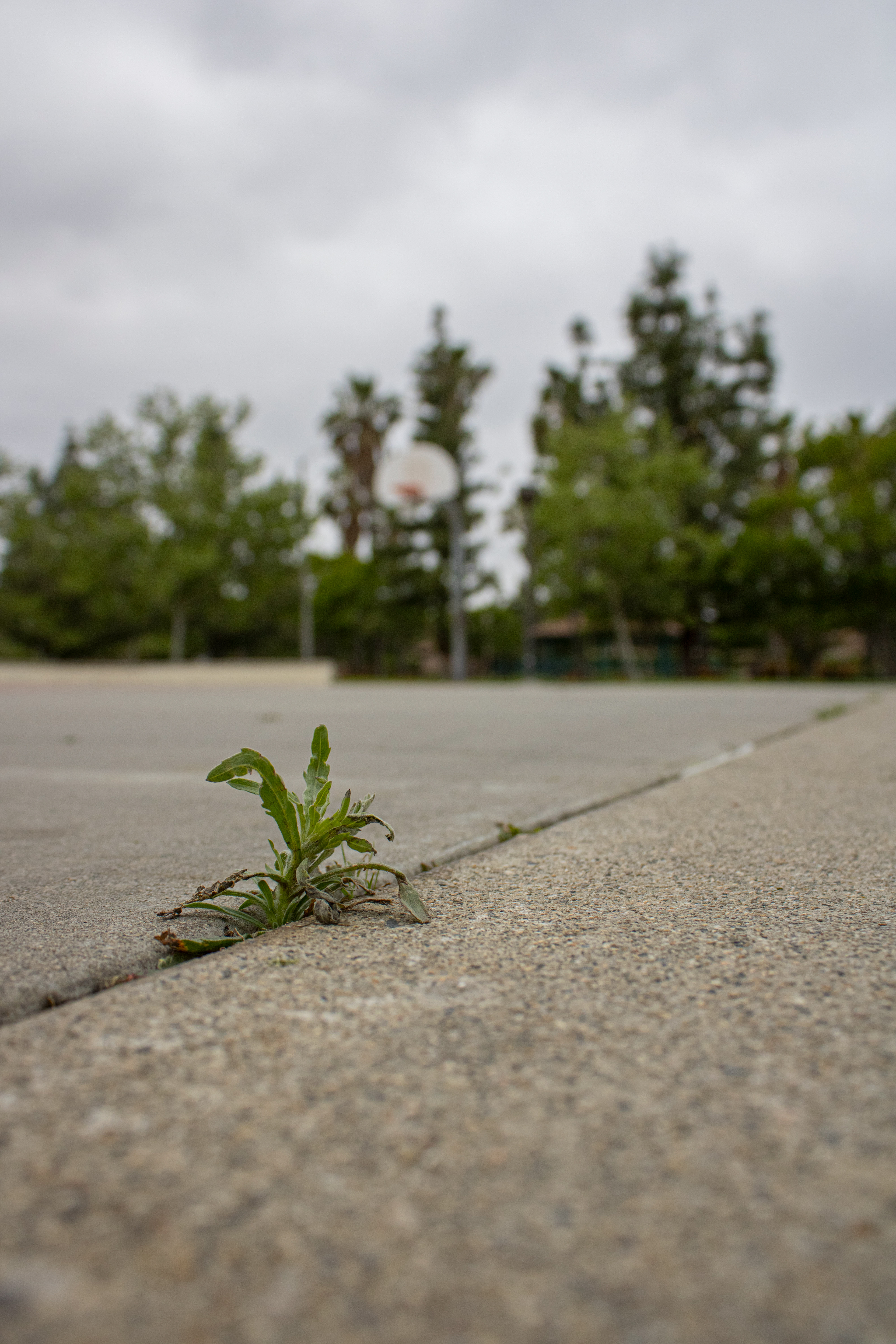 Unwelcome, Unstoppable