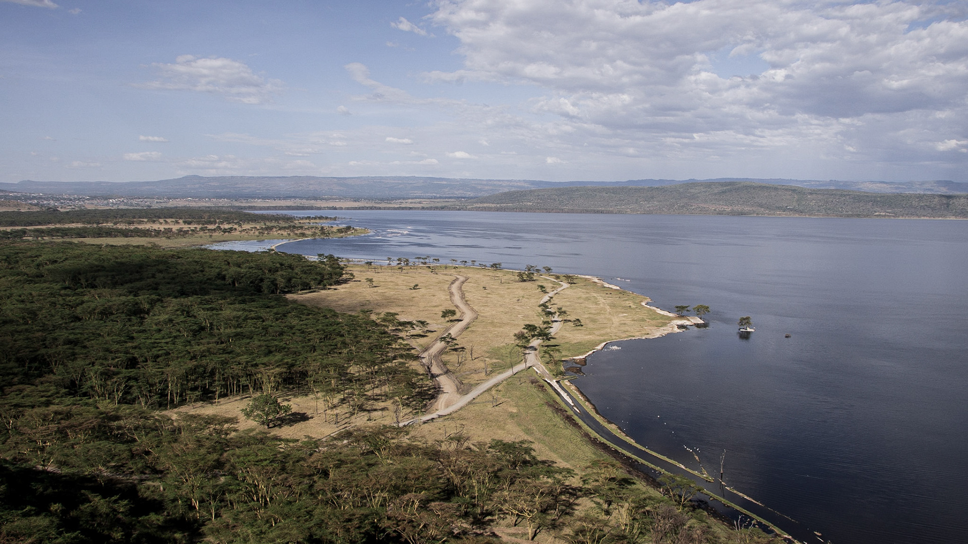 Nakuru Lake III