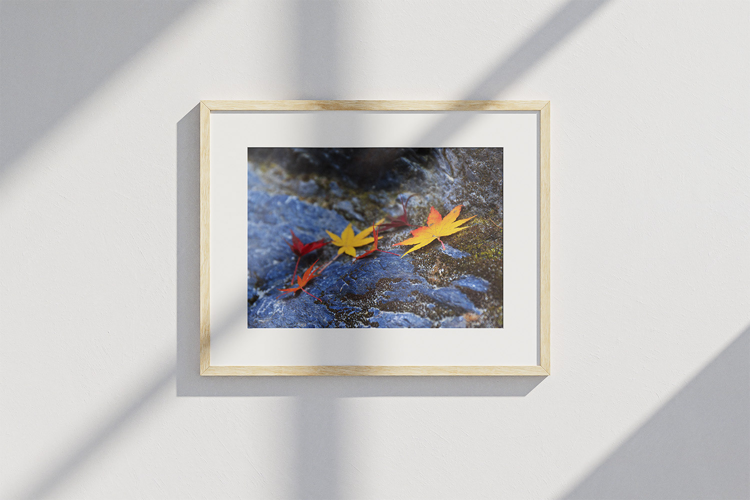 Framed with border, on the wall