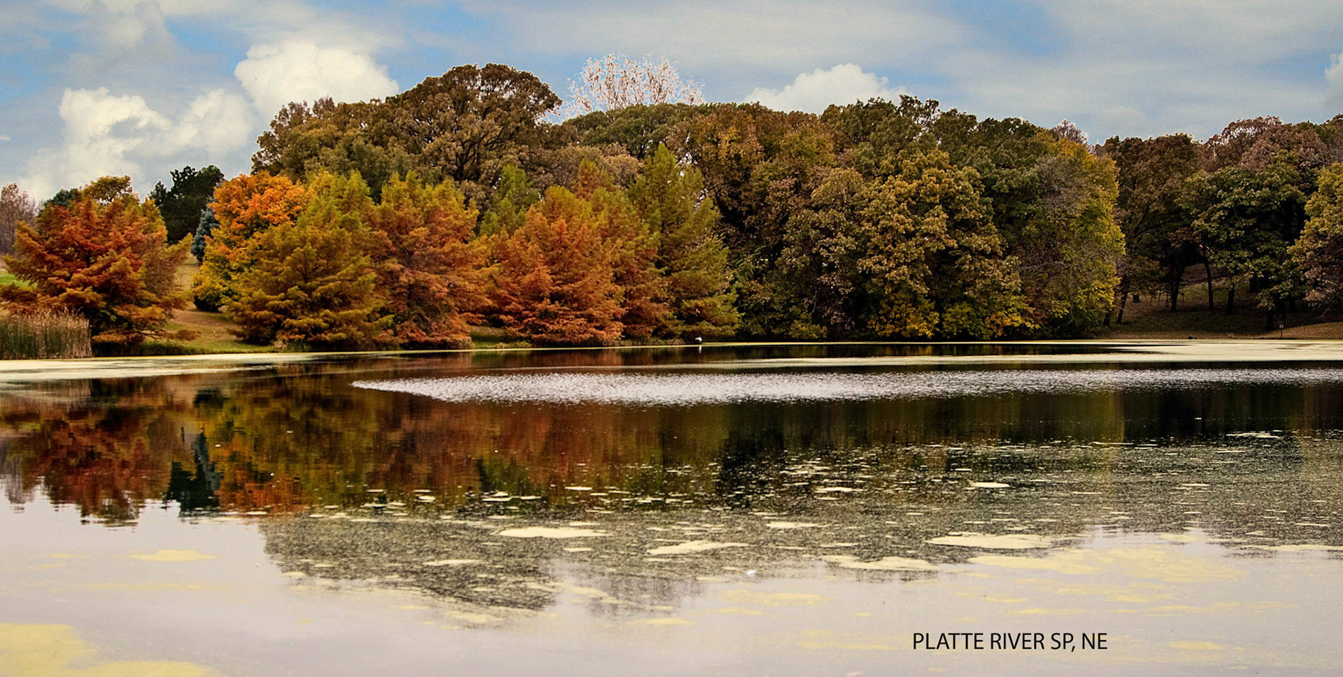 Fall Color, SD