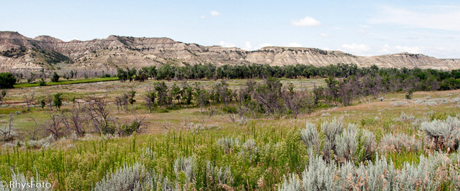 North Dakota Badlands, Teddy Roosevelt National Park