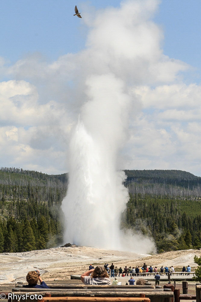 Yellowstone National Park