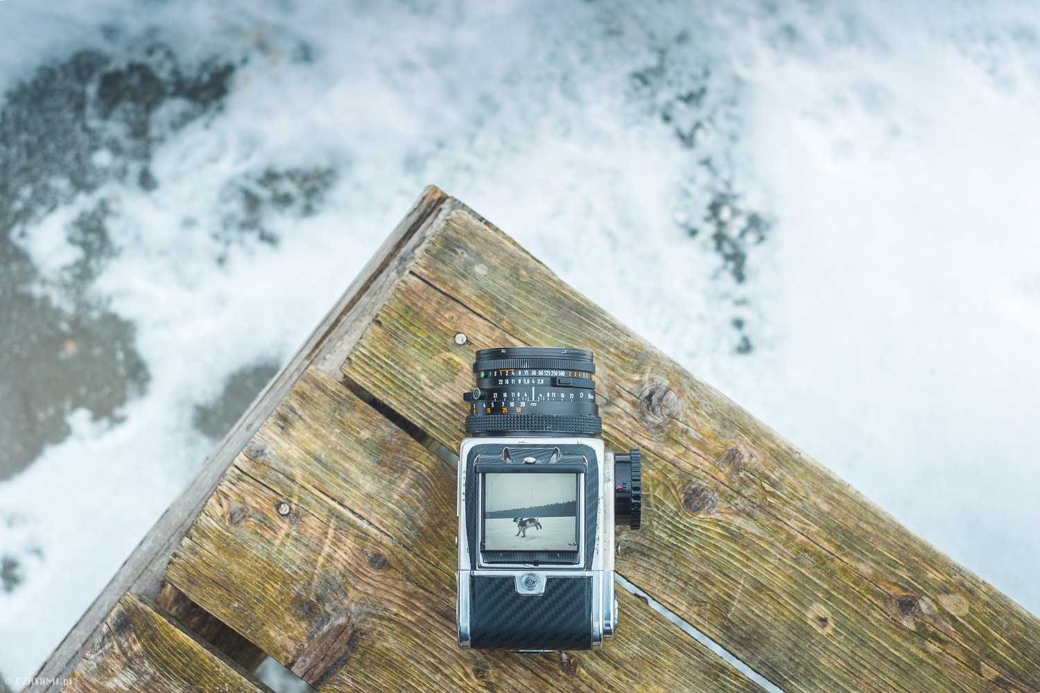 hasselblad 500C