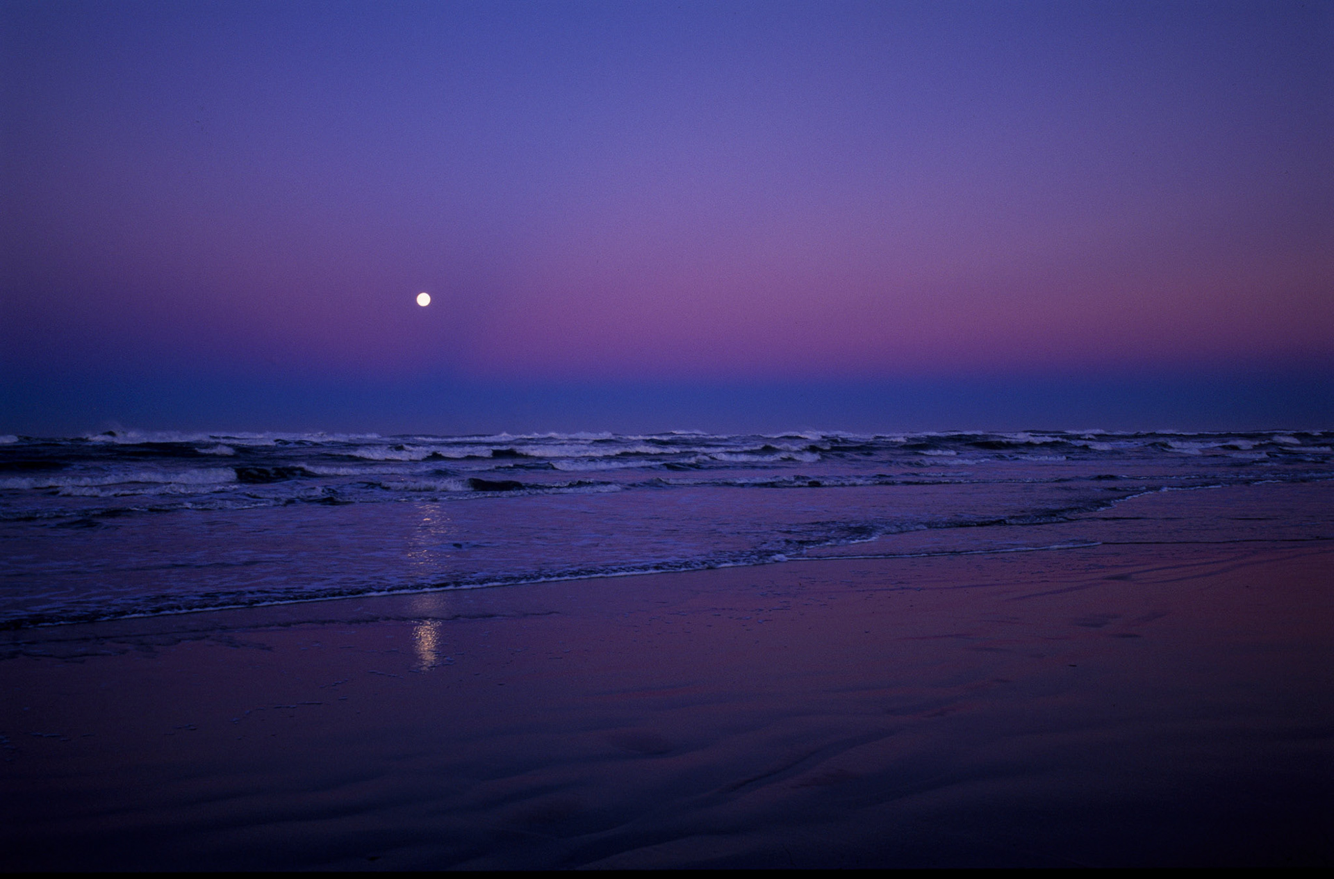 “Ocian in view! O! the joy.” William Clark, Nov. 7, 1805, near the mouth of the Columbia River at the Pacific Ocean.