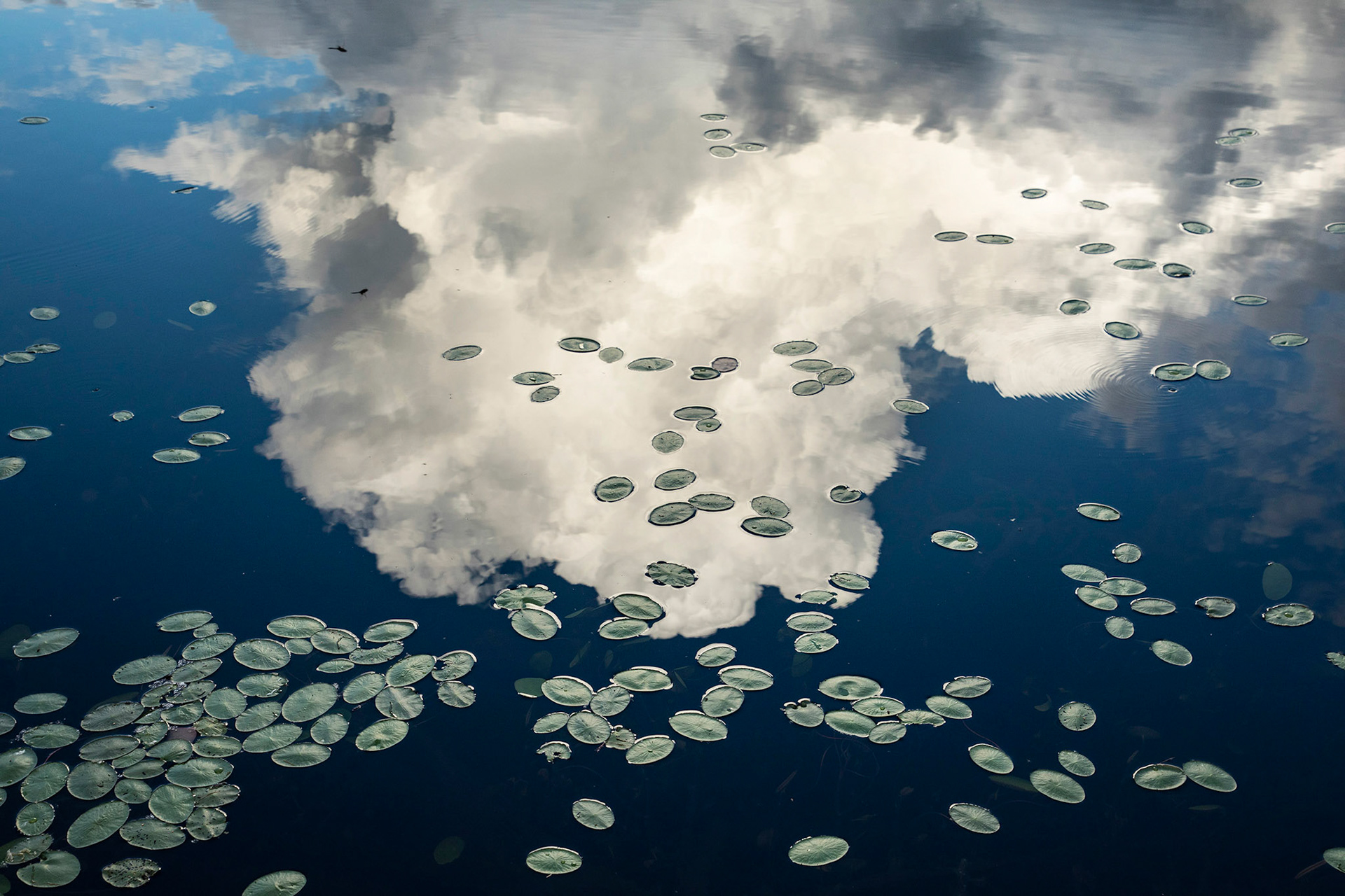 Boundary Waters Canoe Area Wilderness