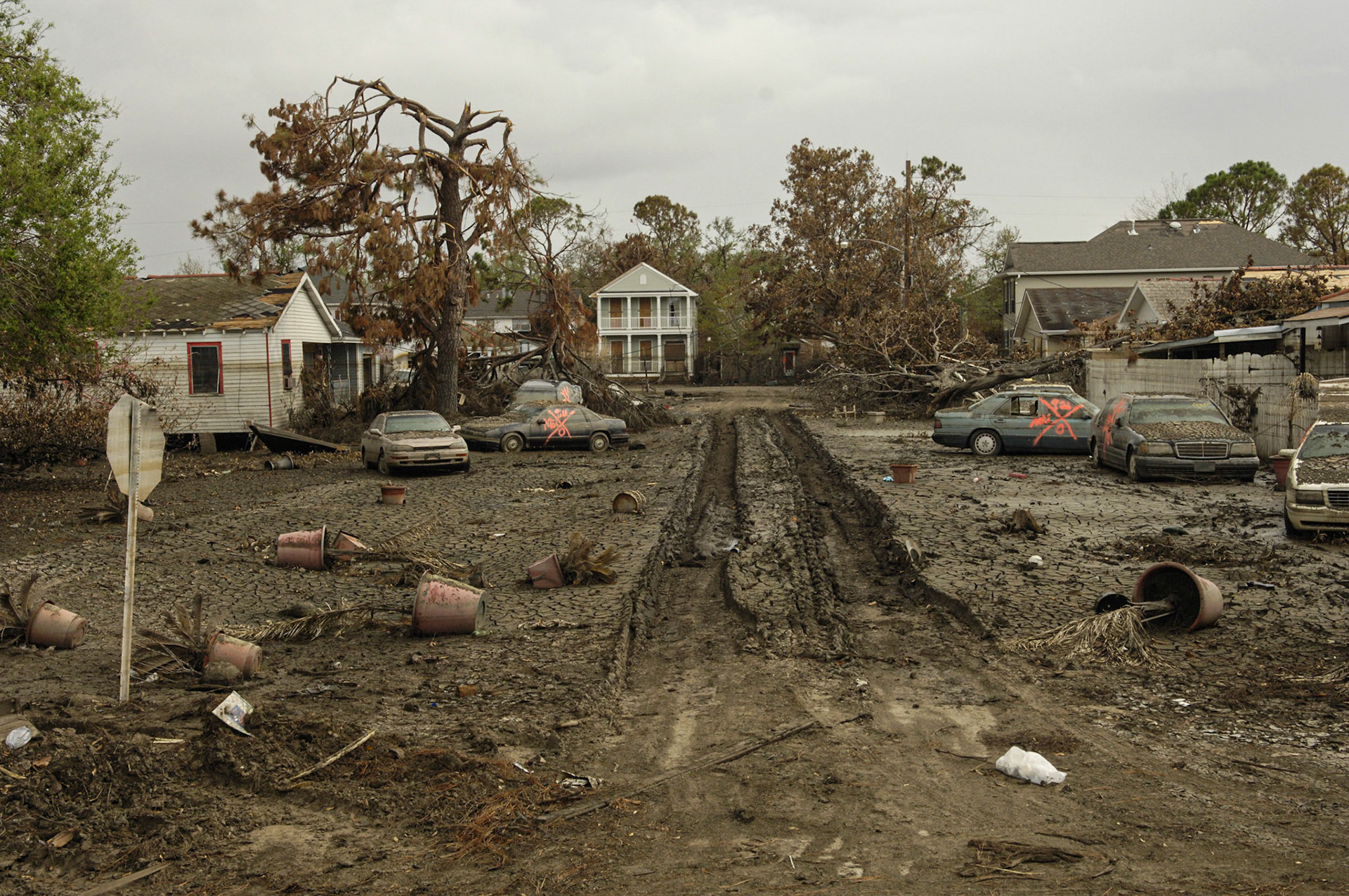 A typical street in the drained neighborhood of Lakeview, near where the 17th Street Canal ruptured during Hurricane Katrina.