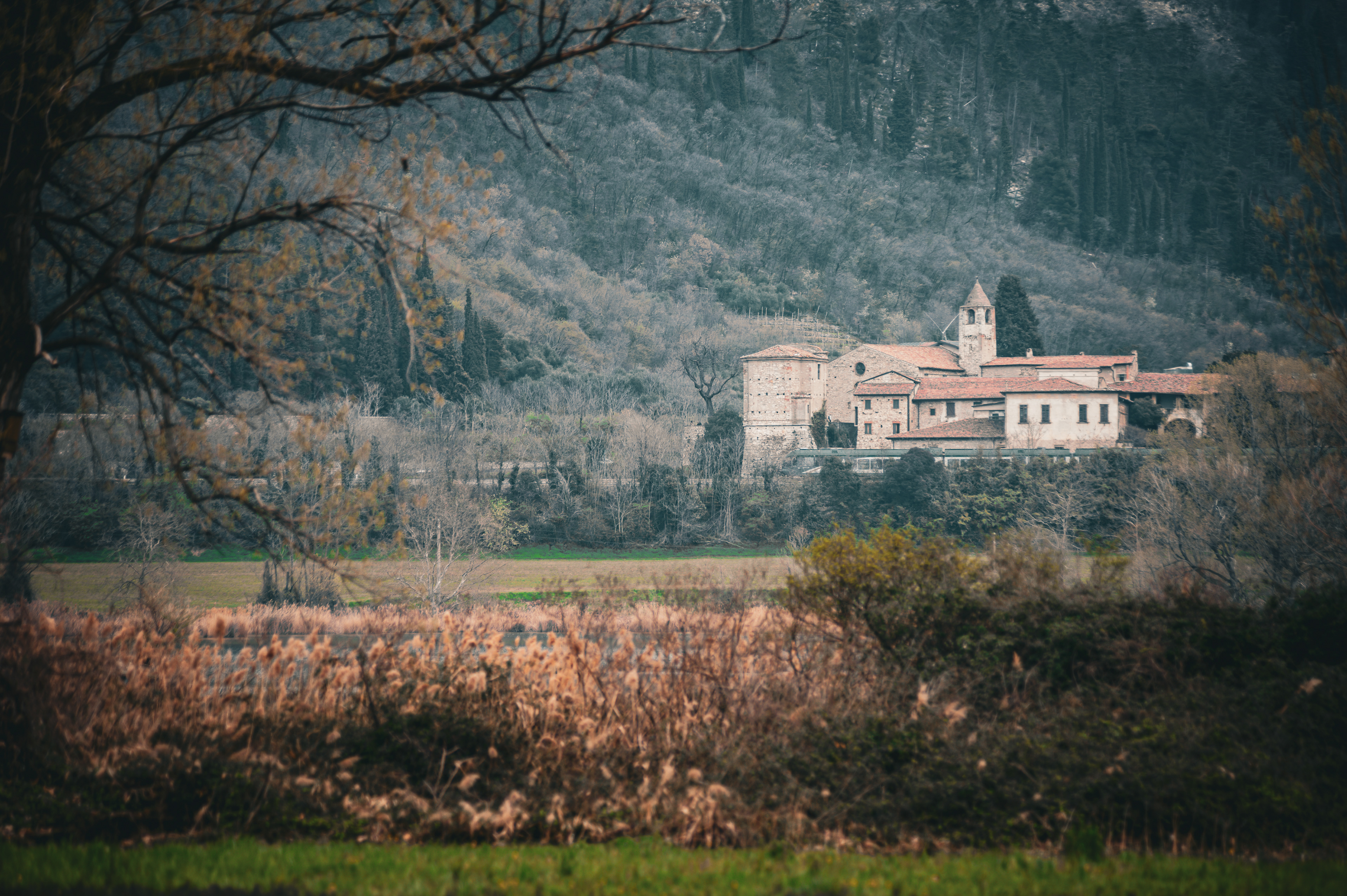 Torbiere del Sebino