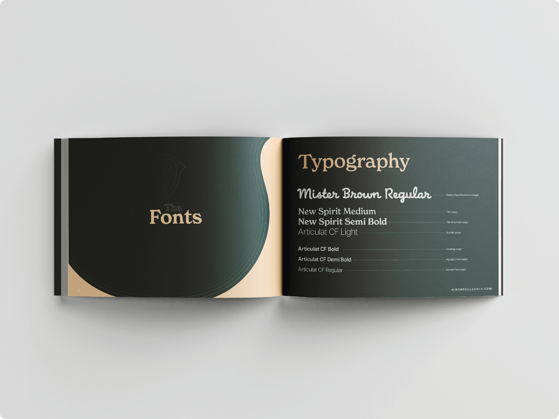 Brand Manual - The Fonts