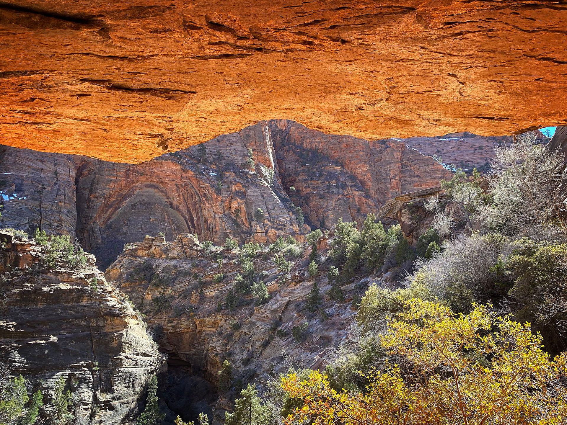 Red Rock Canyon | Las Vegas, NV