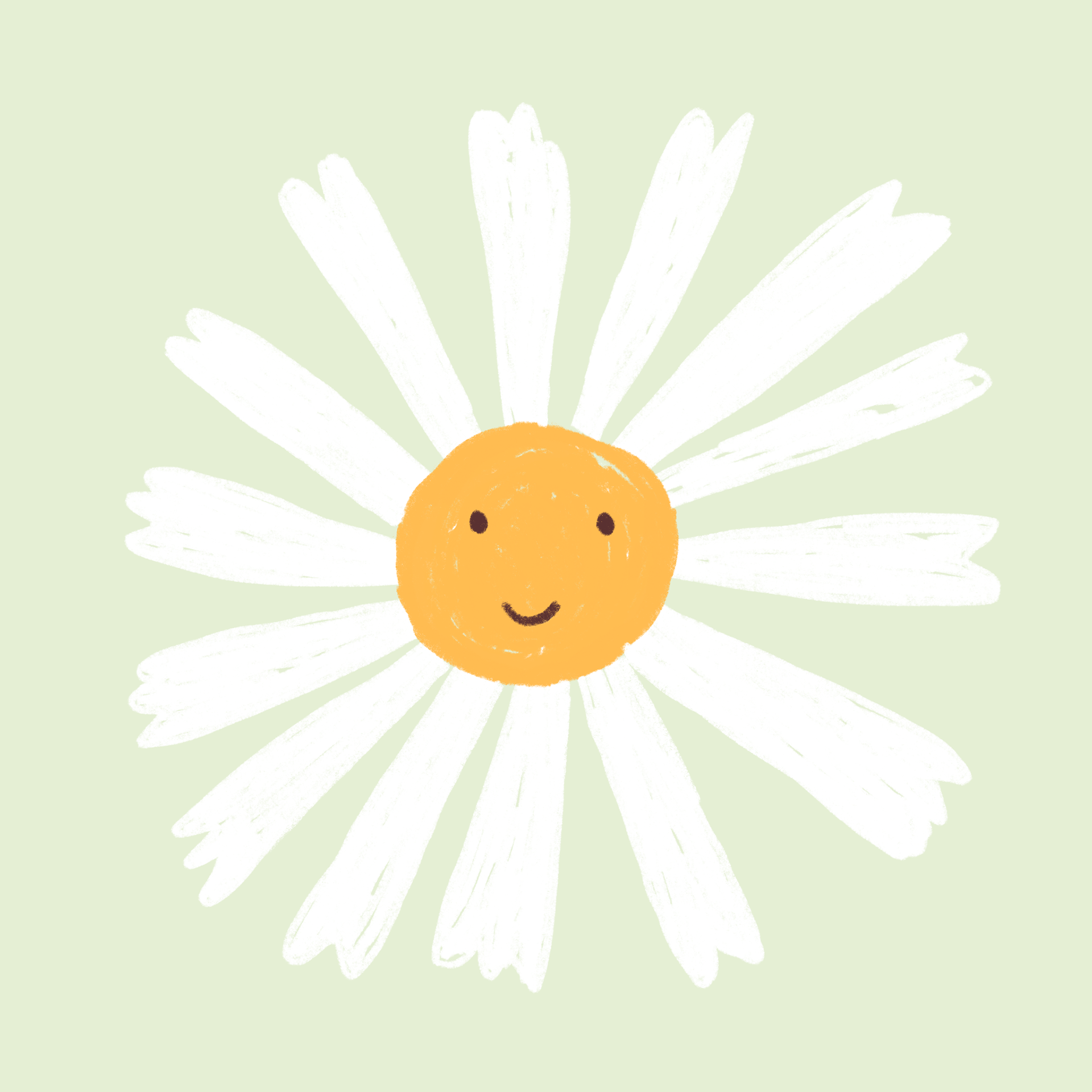 Daisy