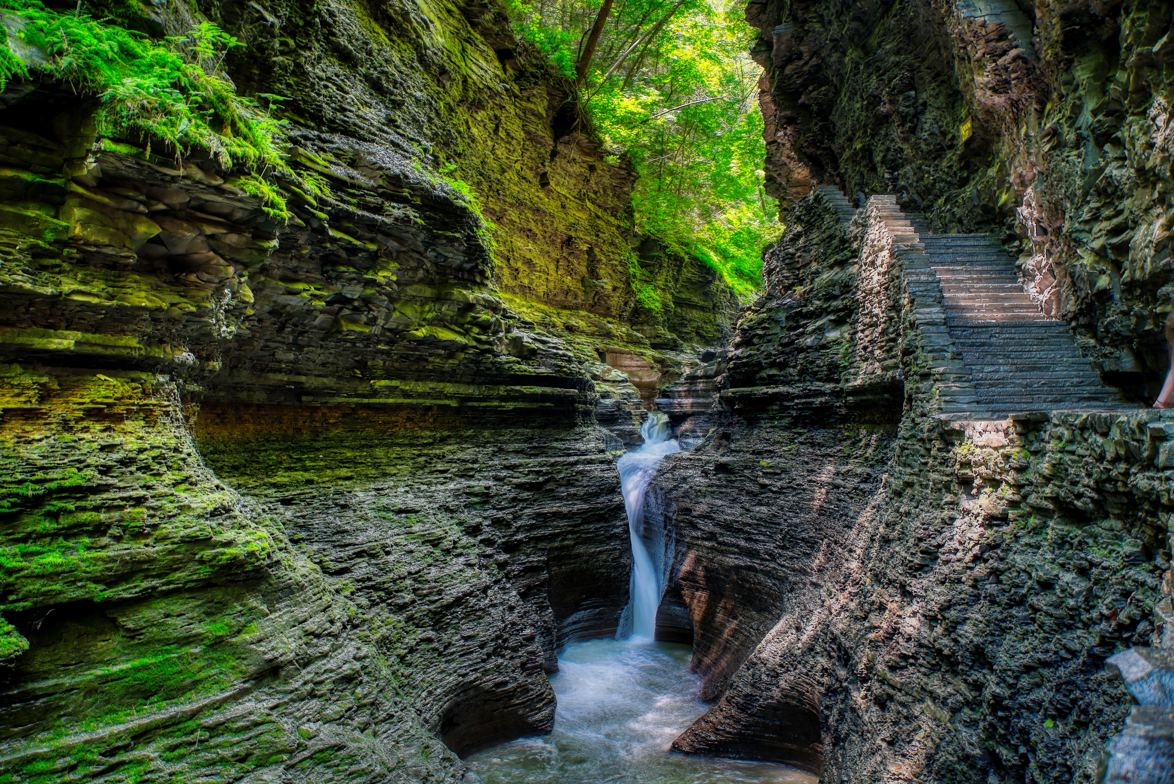 "Watkins Glen Gorge 2" - 2019