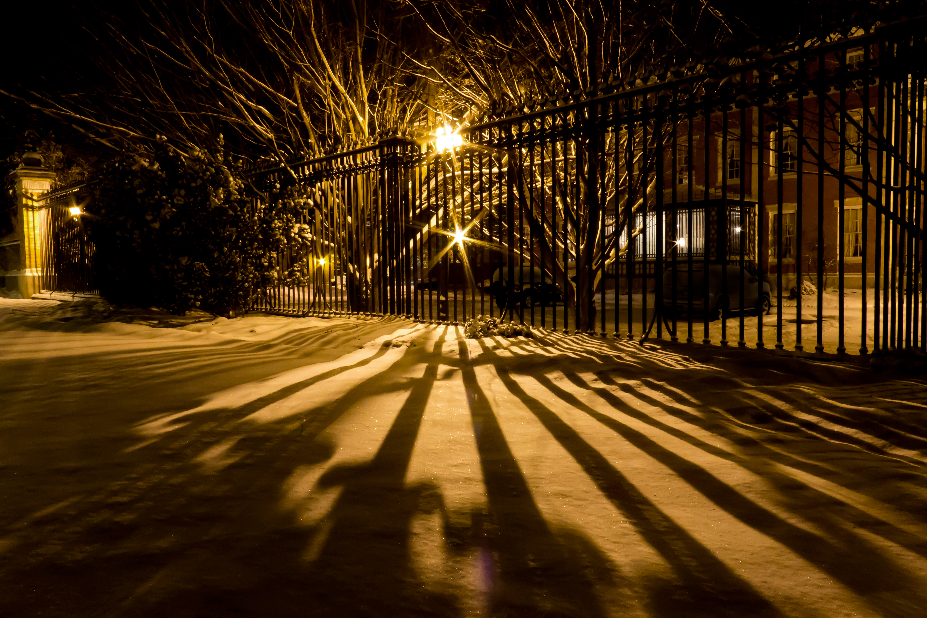 "Striped Snow" - 2012
