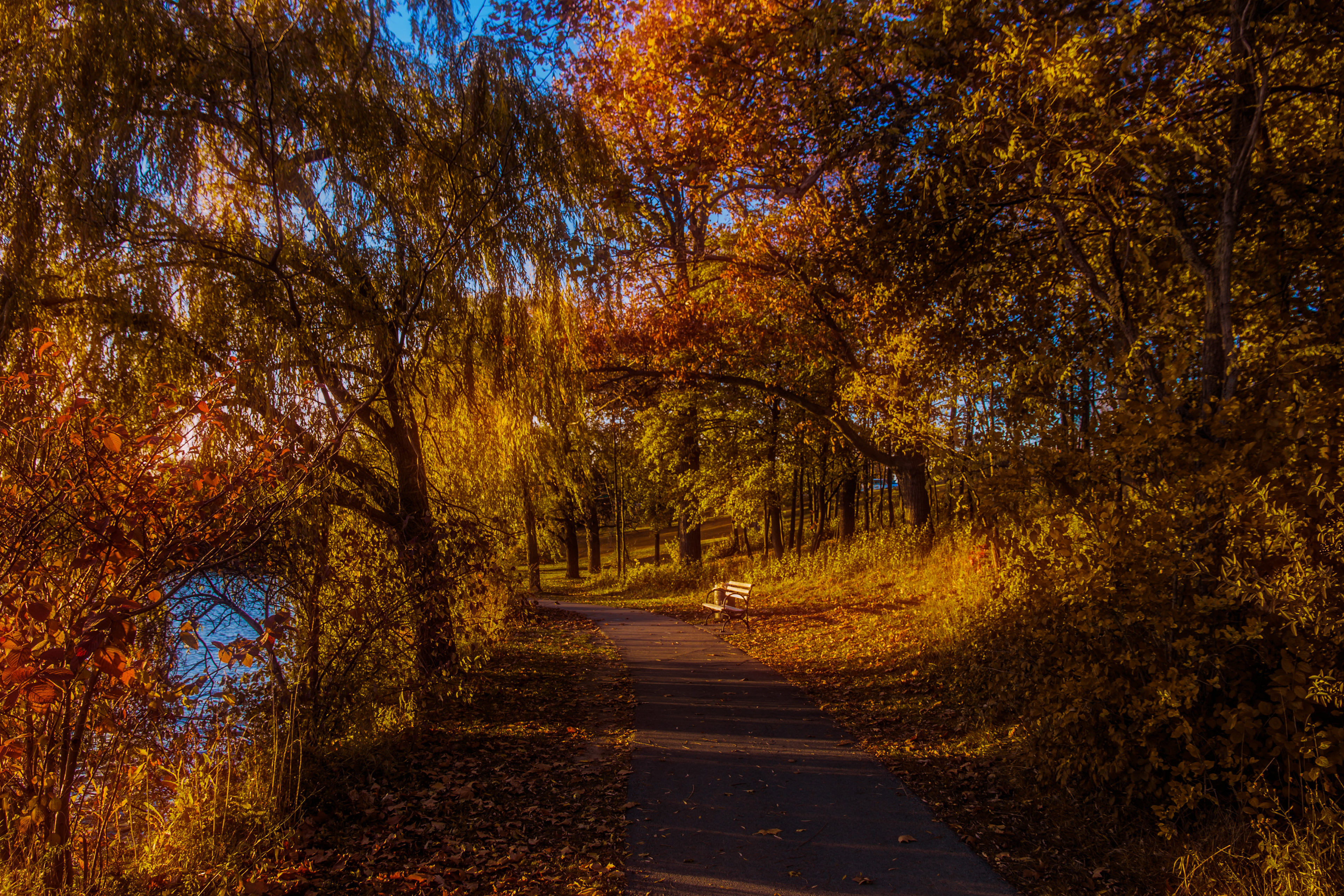 "Golden Afternoon" - 2014