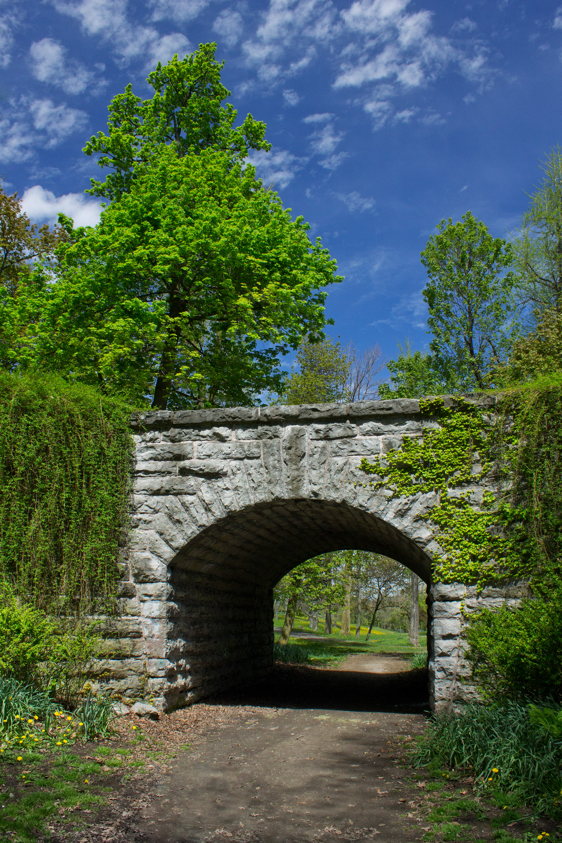 "Garden Path" - 2013