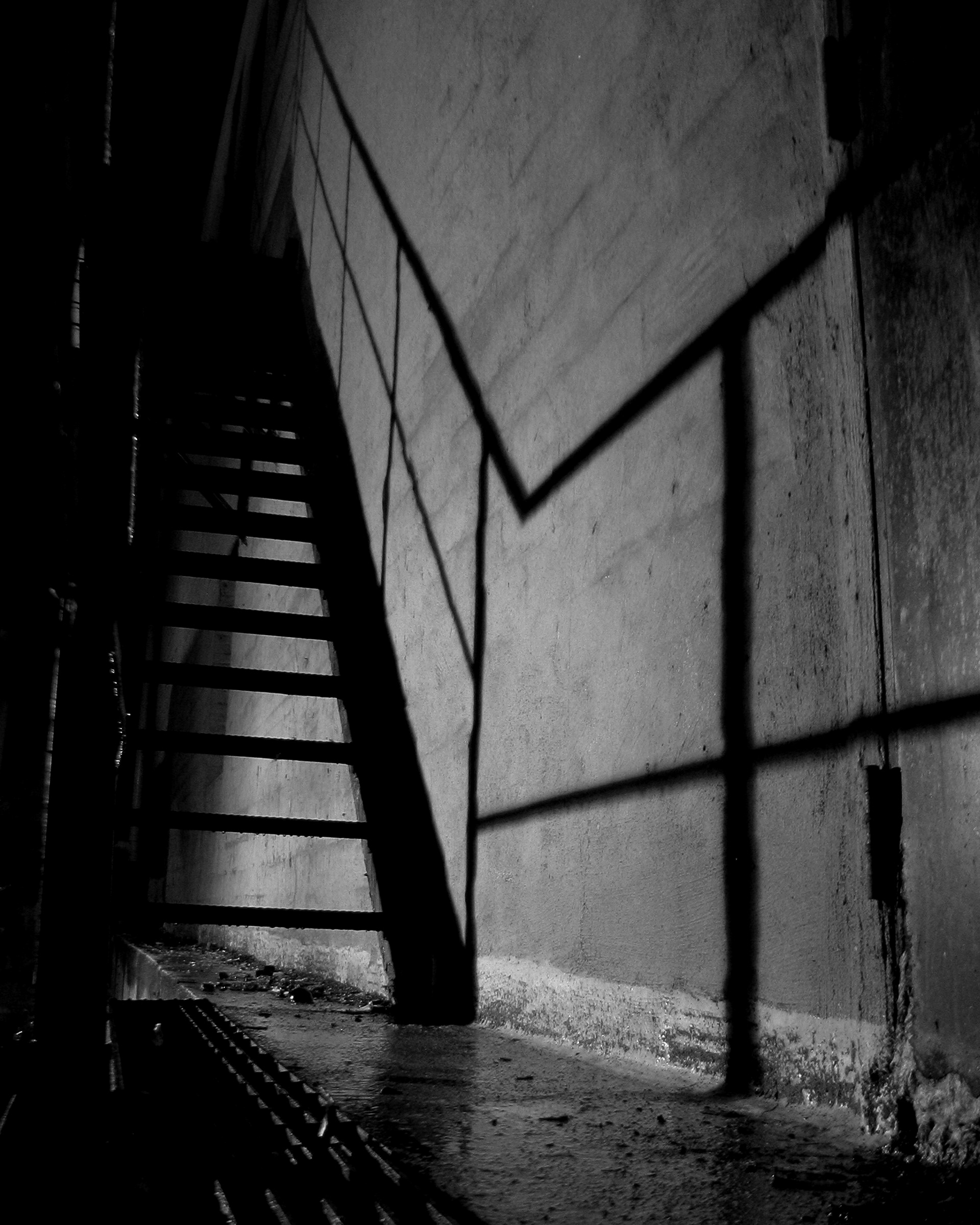 "Shadow Steps 2" - 2006