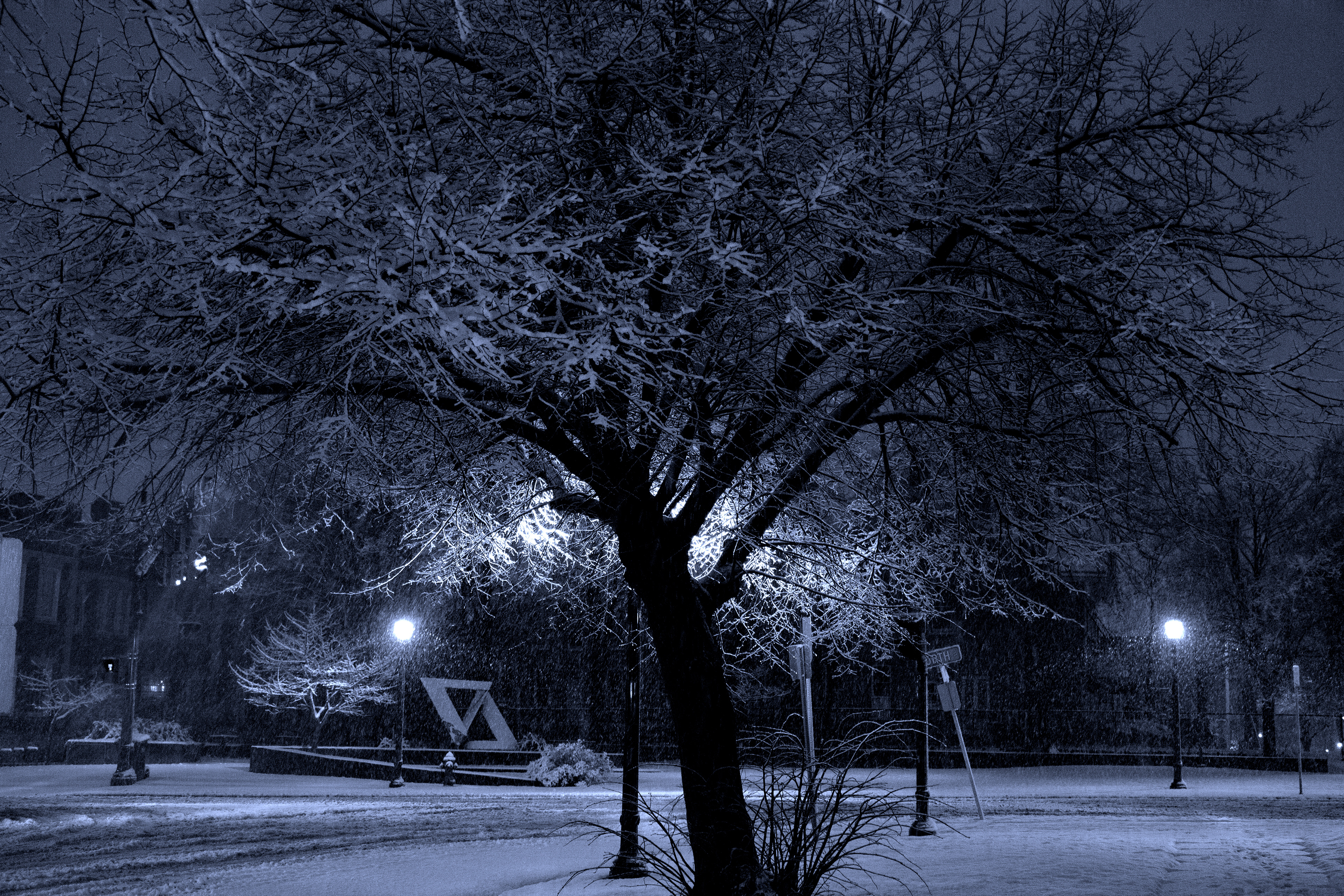 "Snowy Silence" - 2013