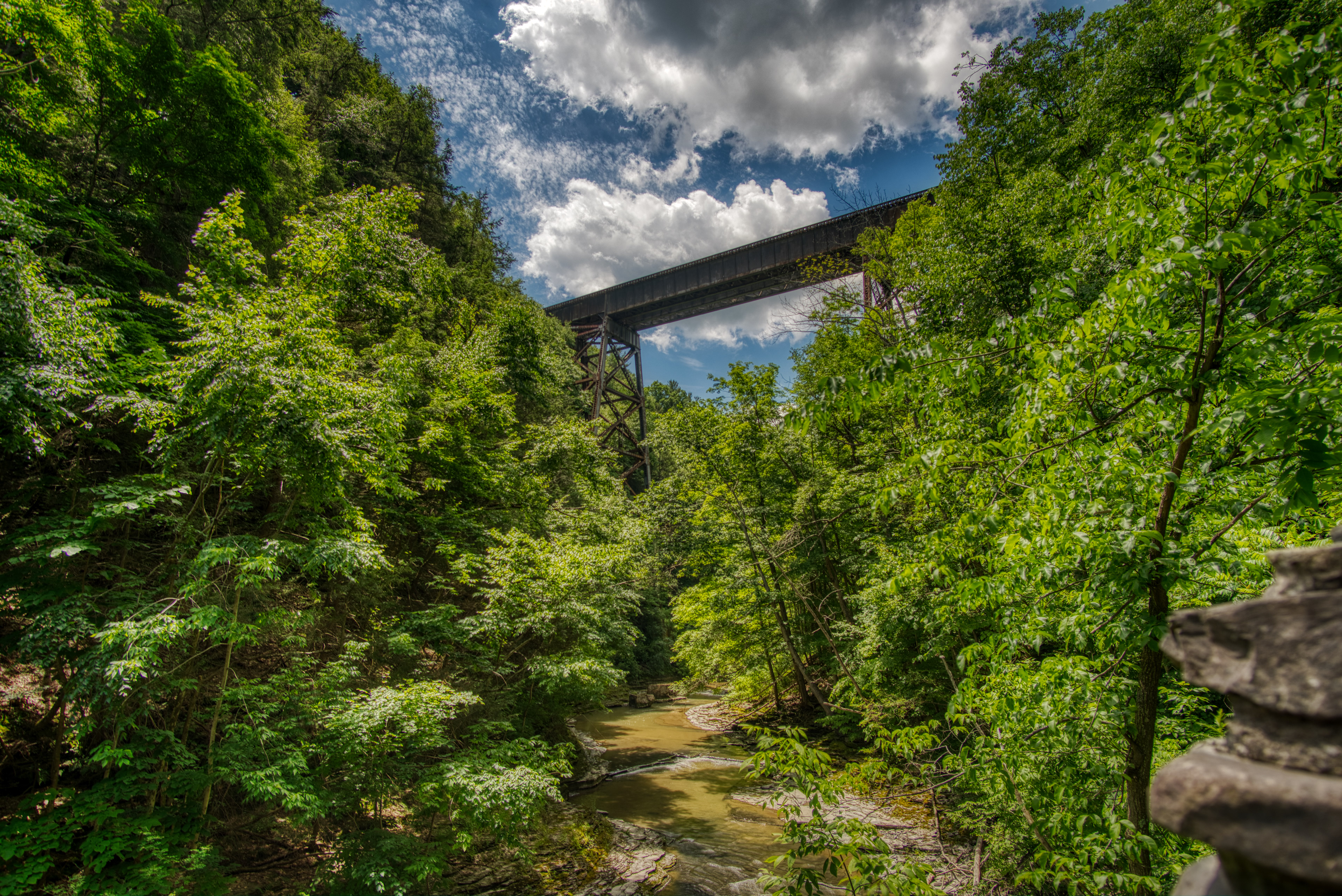 "Watkins Glen Gorge 3" - 2019