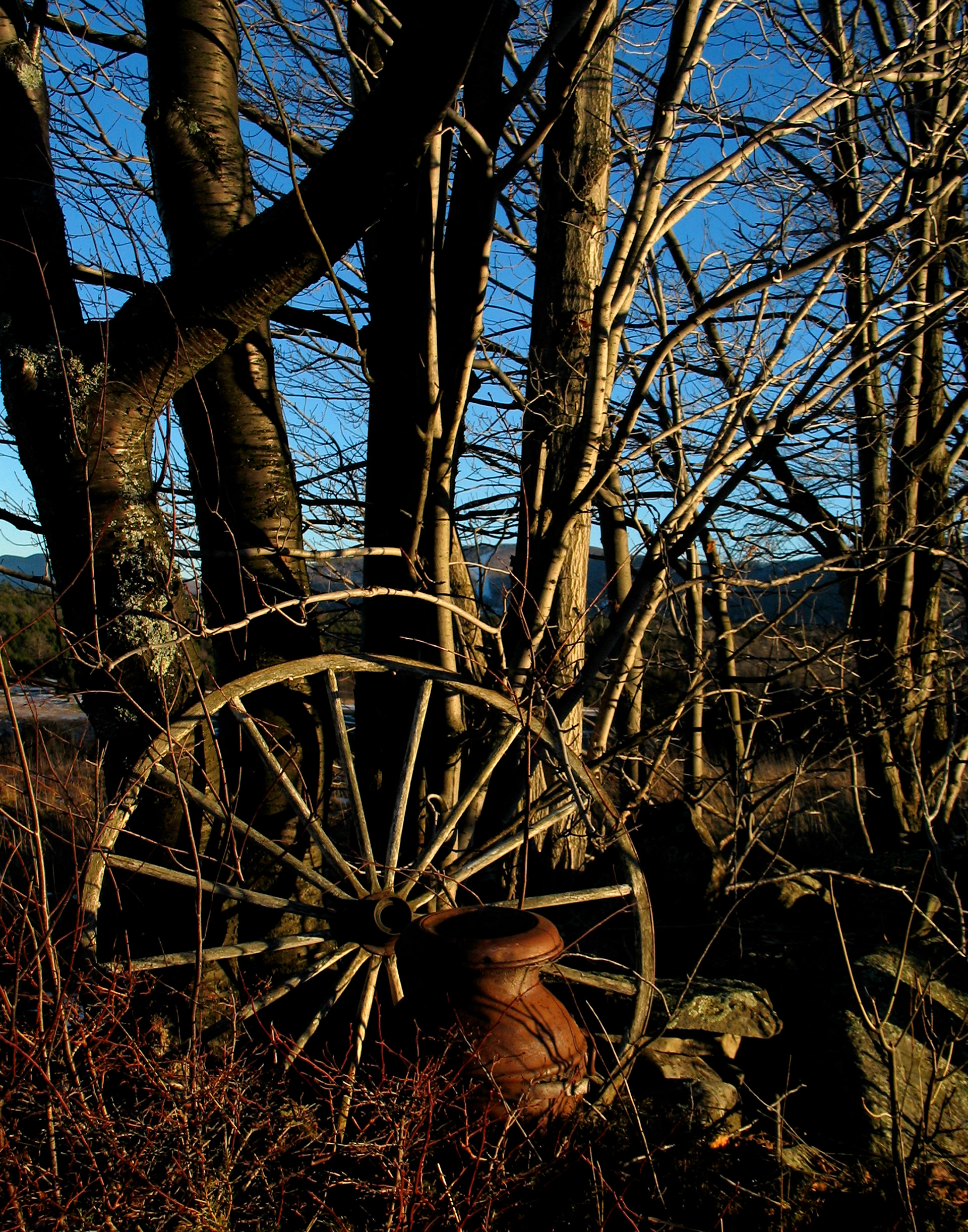 "Golden Winter" - 2004