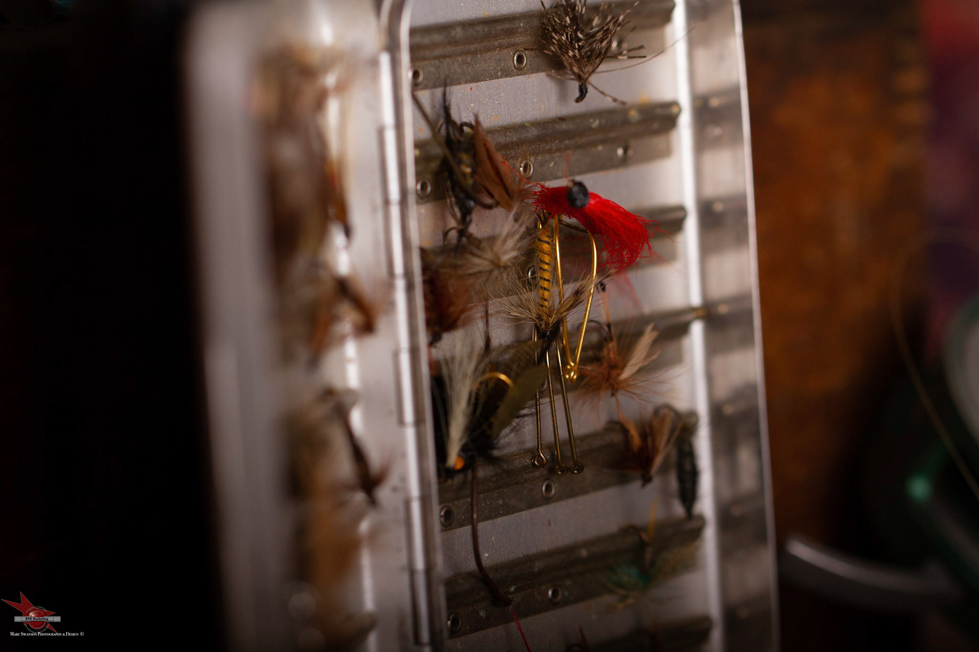 Photo by Marc Swanson ©