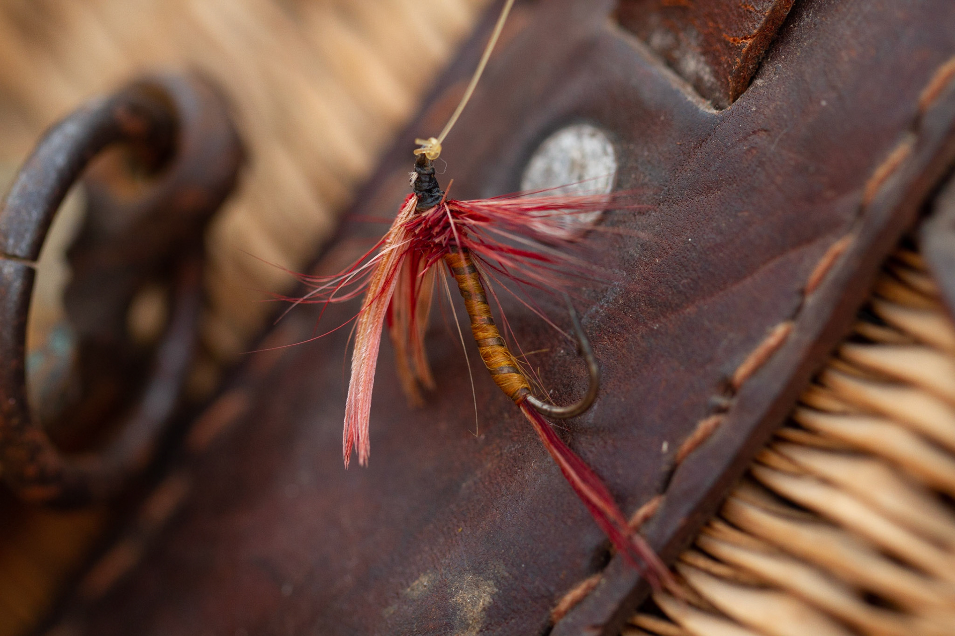 Photo by Marc Swanson ©