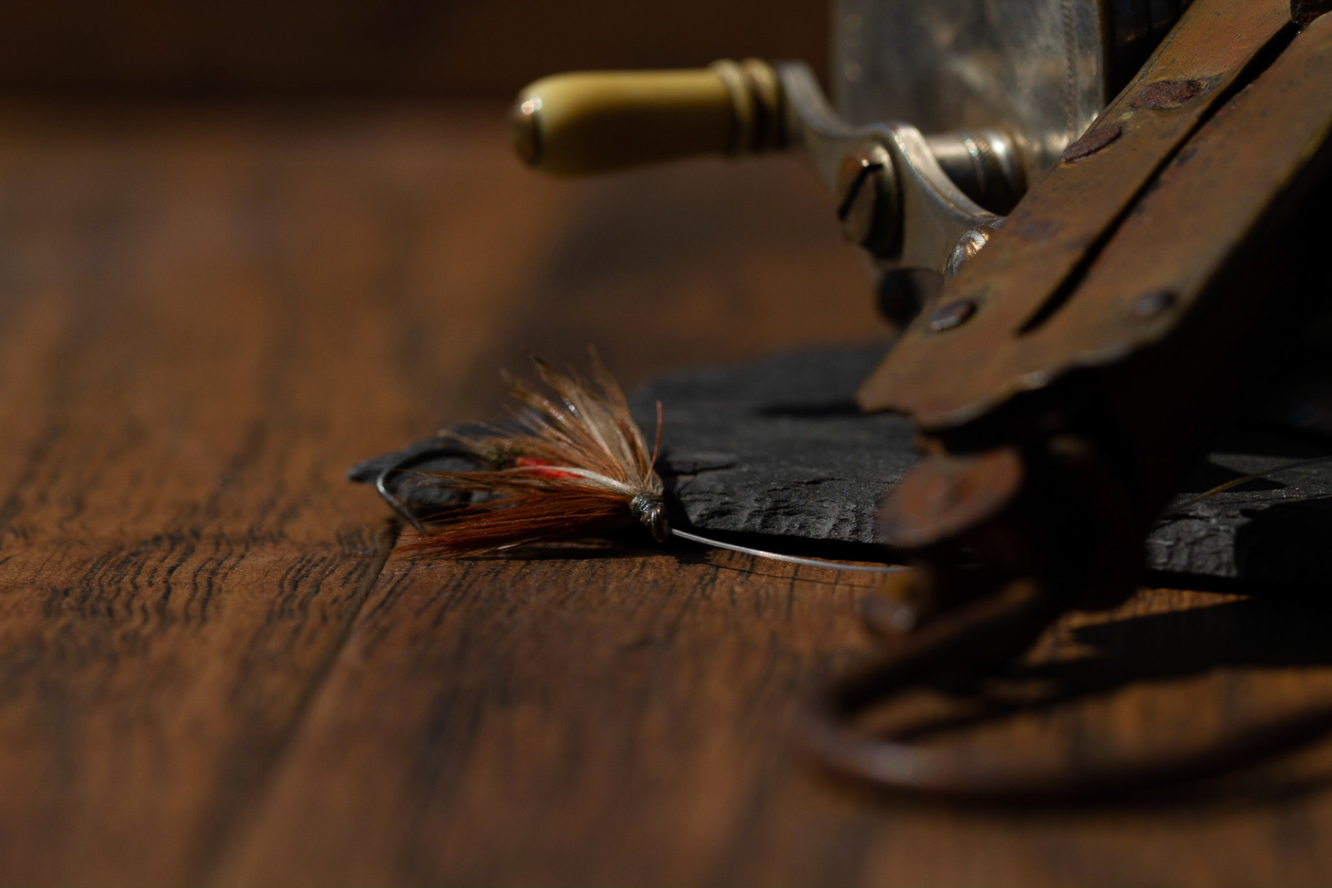 Photo by Marc Swanson ©