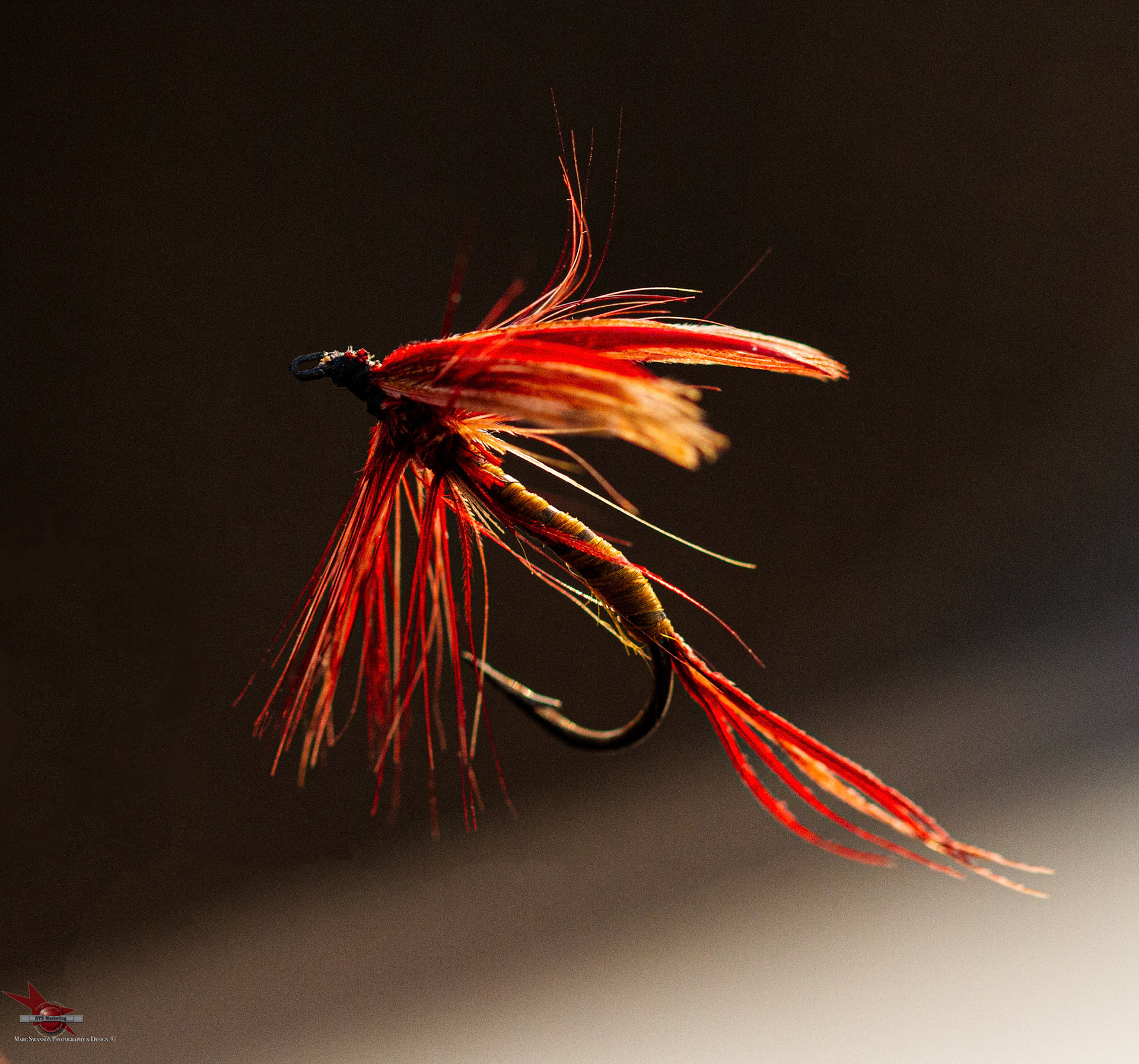 Photo by Marc Swanson ©