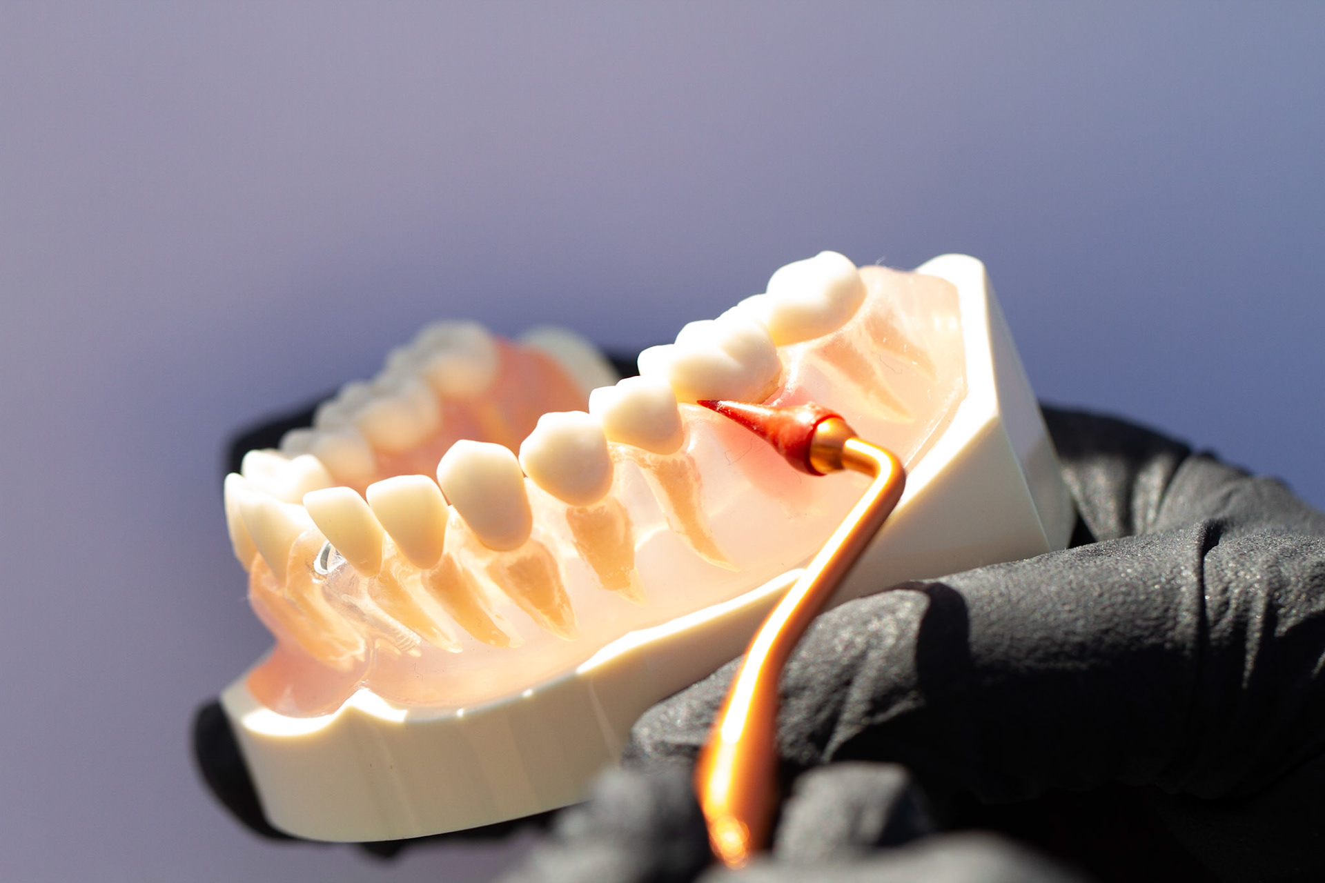 Photo by Marc Swanson ©