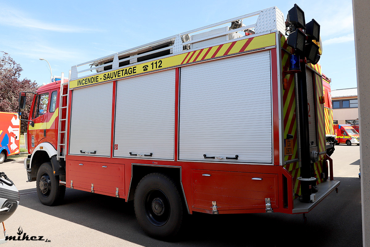 TLF 3-1