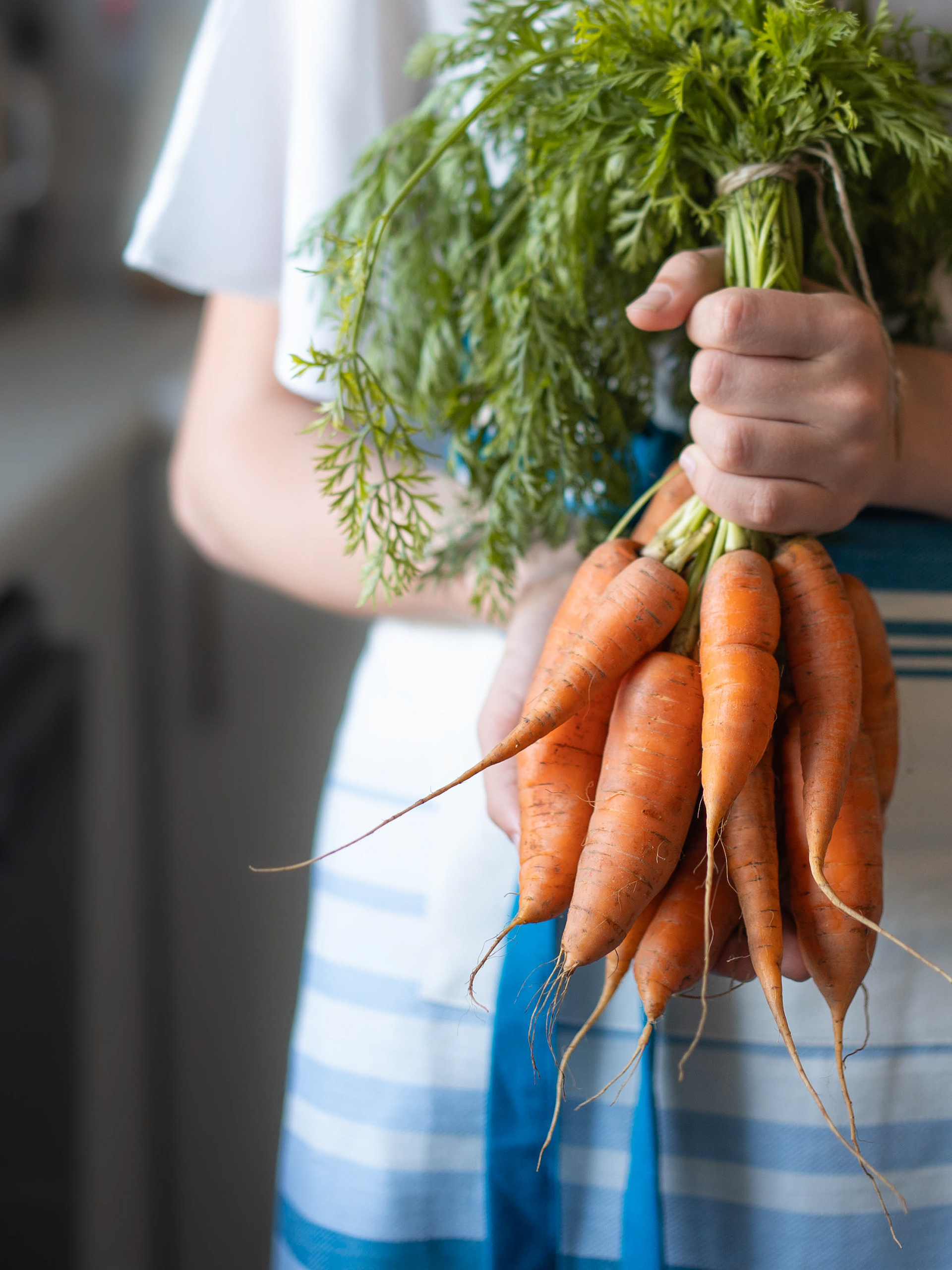 Organic Carrots