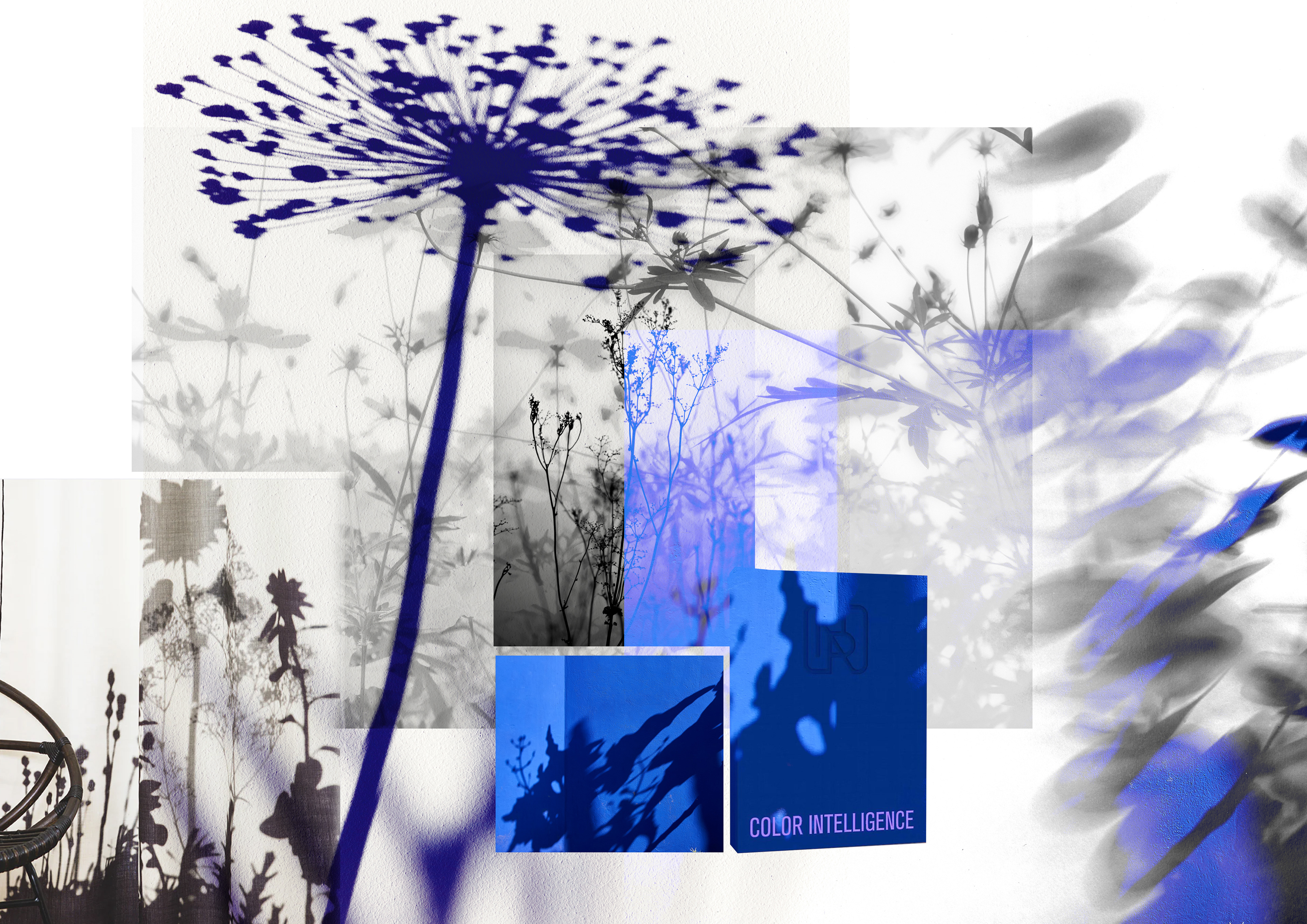 Moodboard