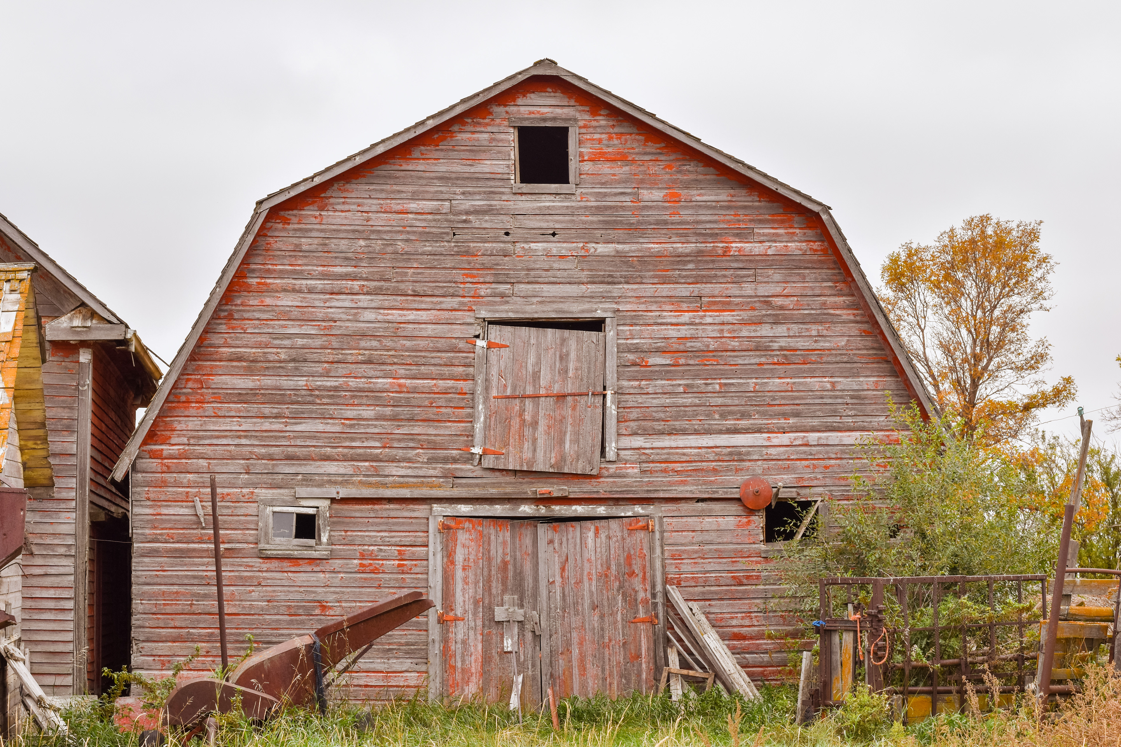 Rustic Beauty