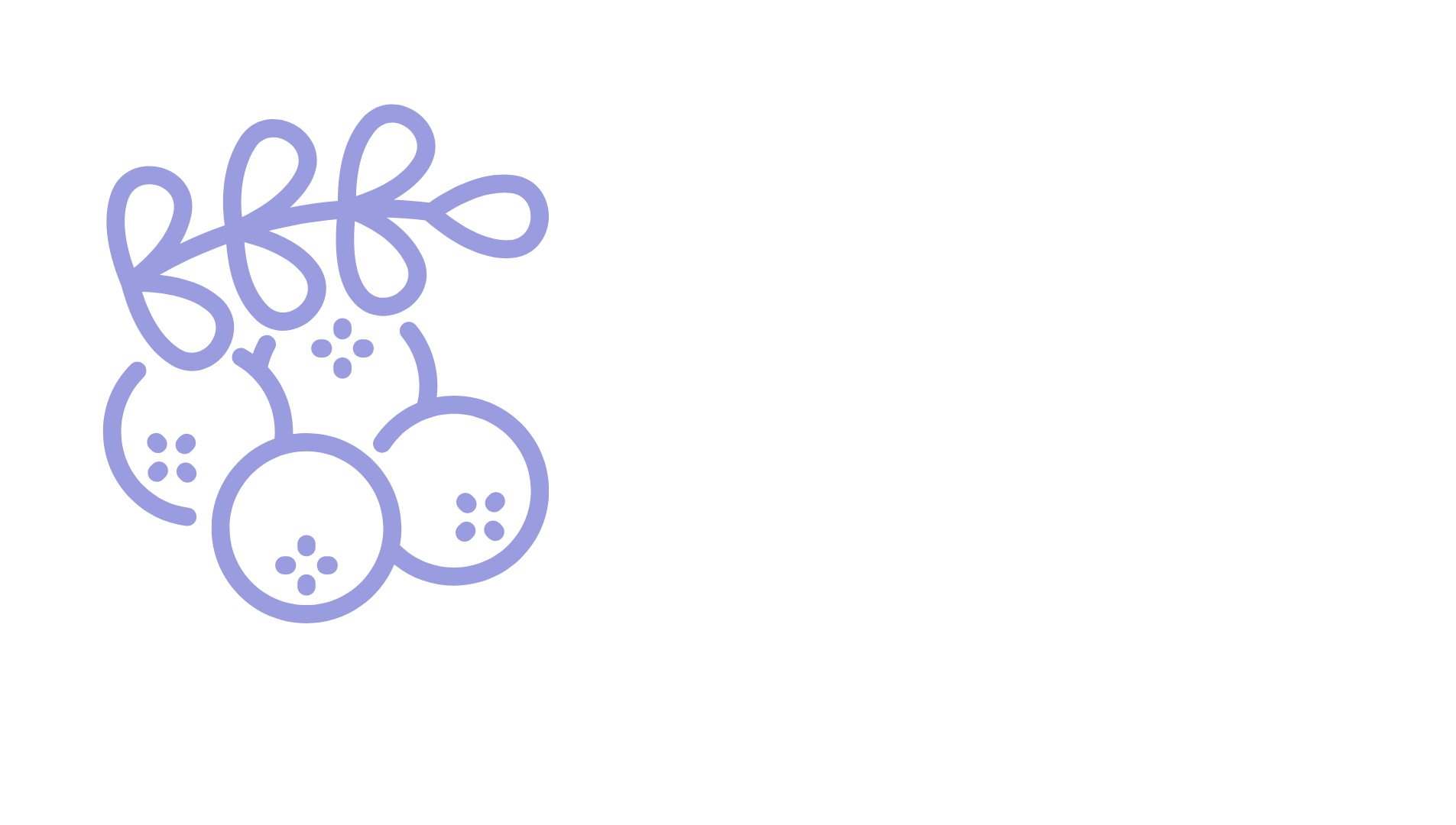 Mountain Ash Media