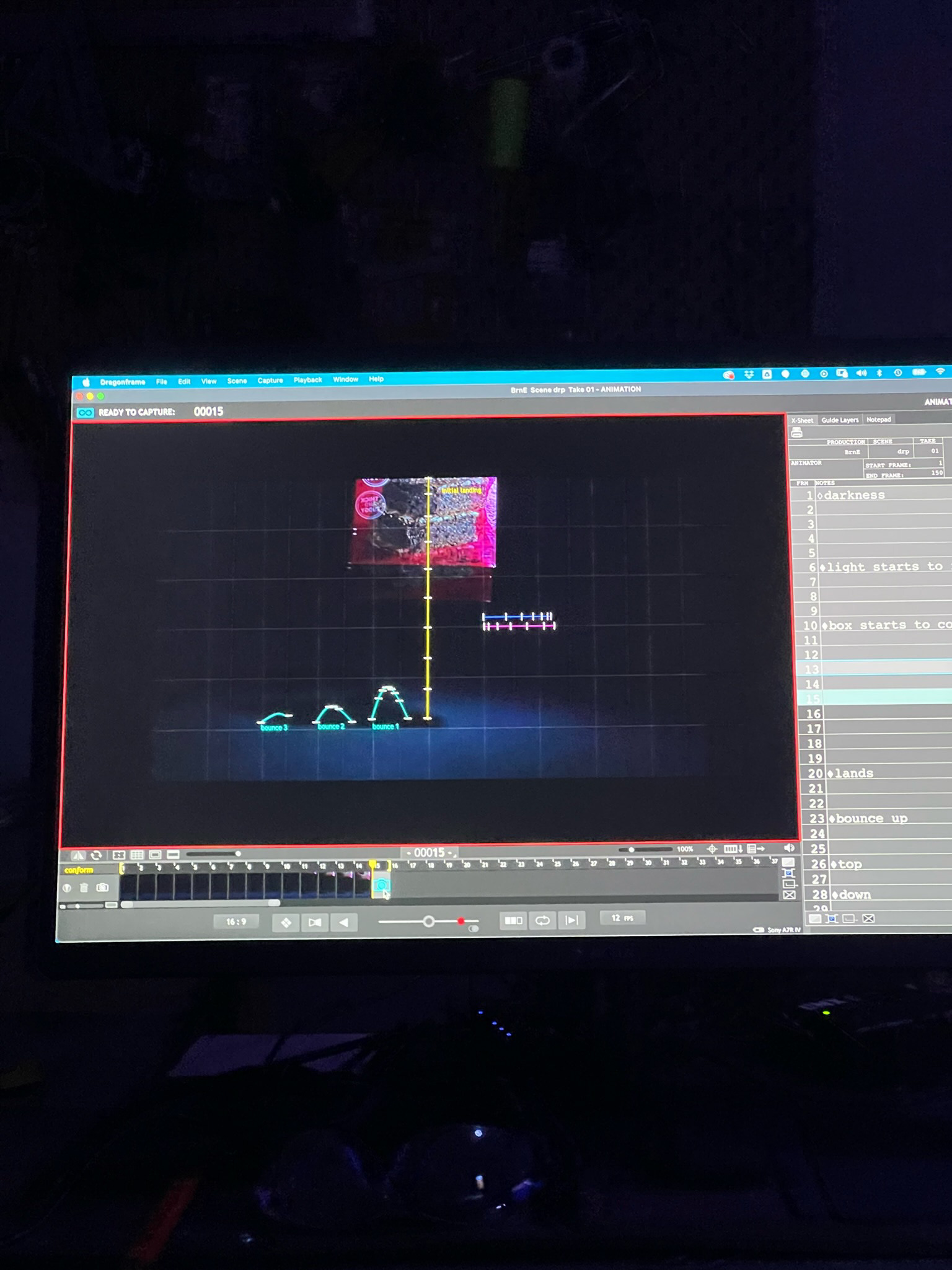 Setting guides in DragonFrame Stop Motion