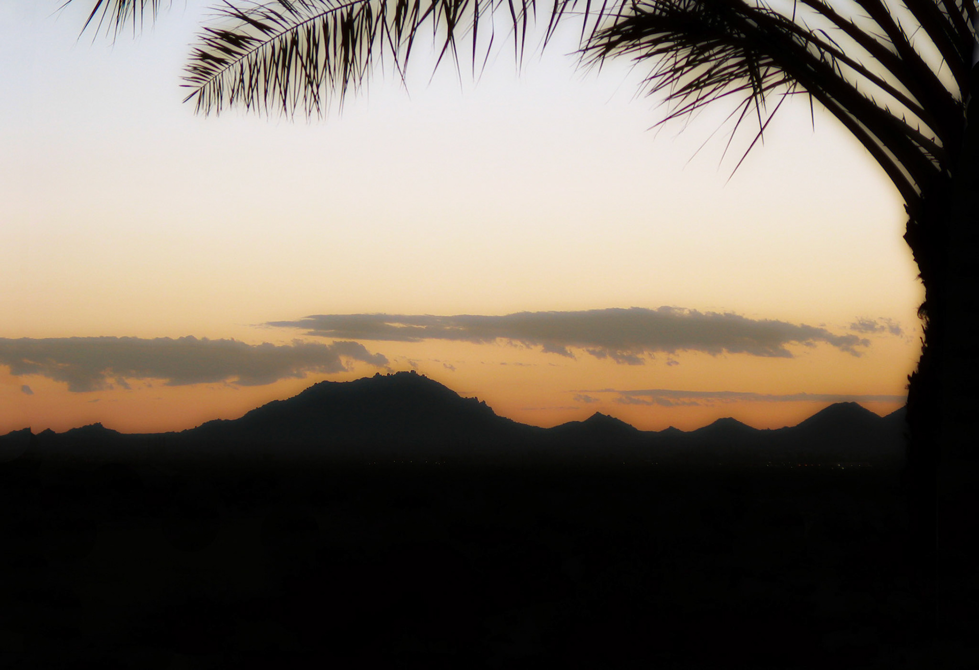 Arizona Phoenix Mountain Sunrise with Palm Tree 09-03-2004